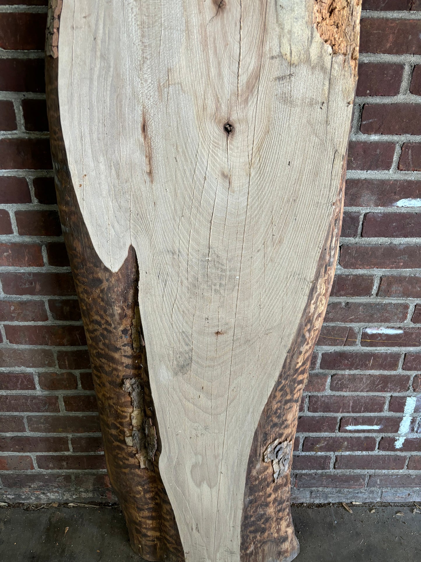 Sycamore Slab SIVLKT0122