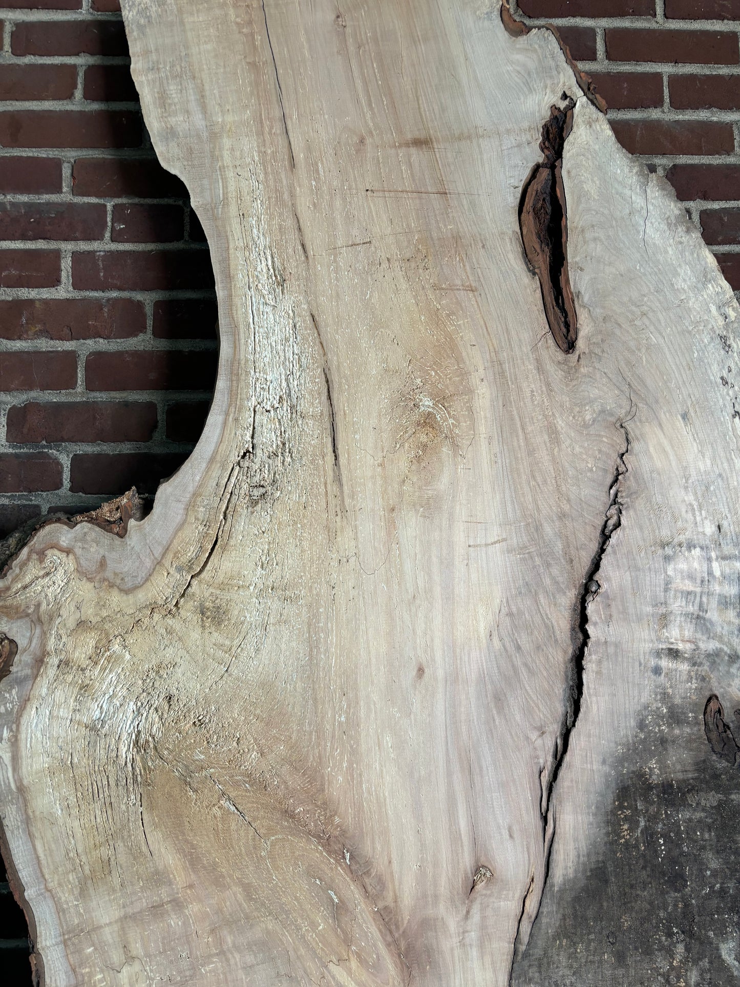 Maple Slab SIVLKT0044
