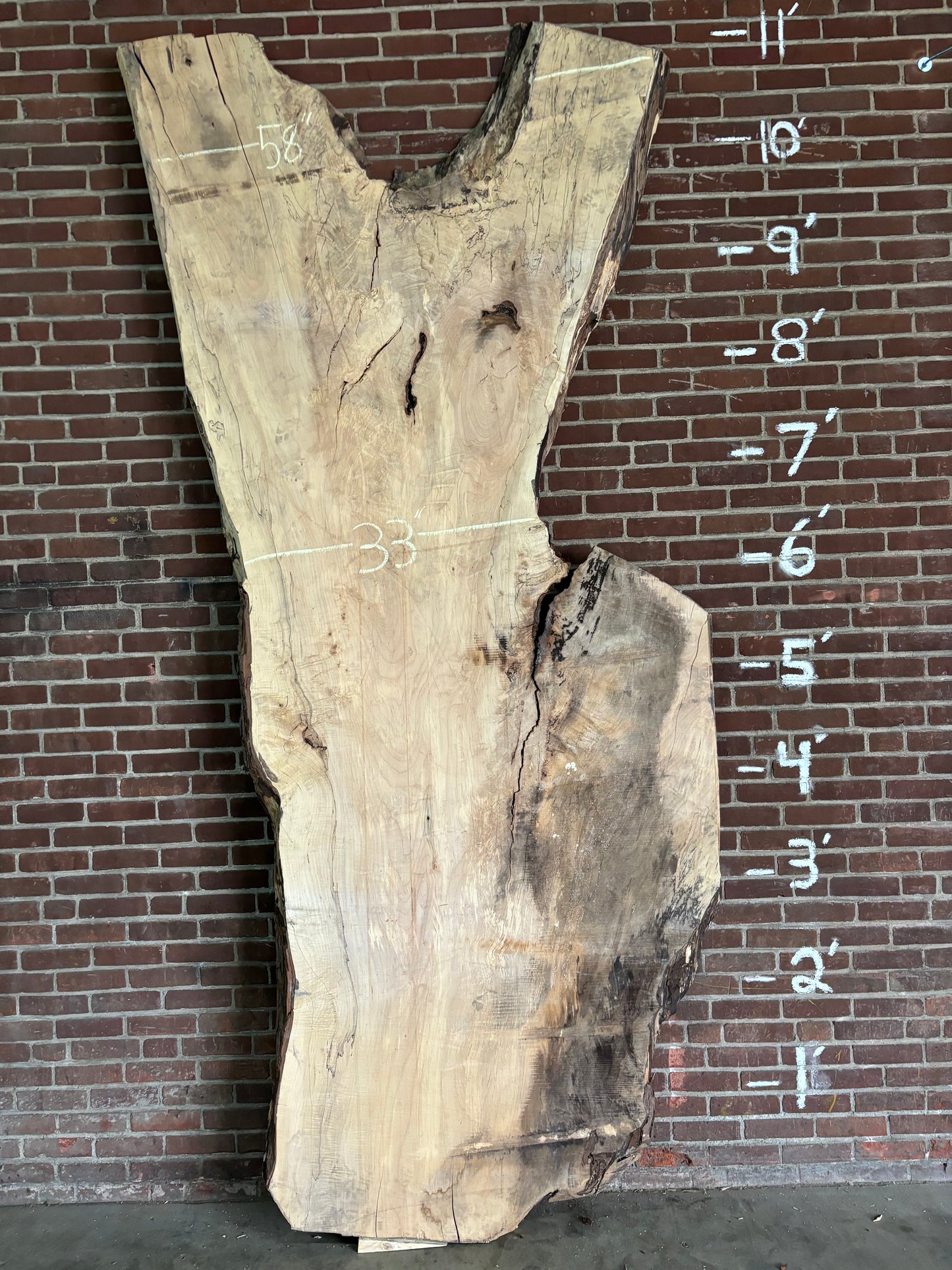 Maple Slab SIVLKT0052