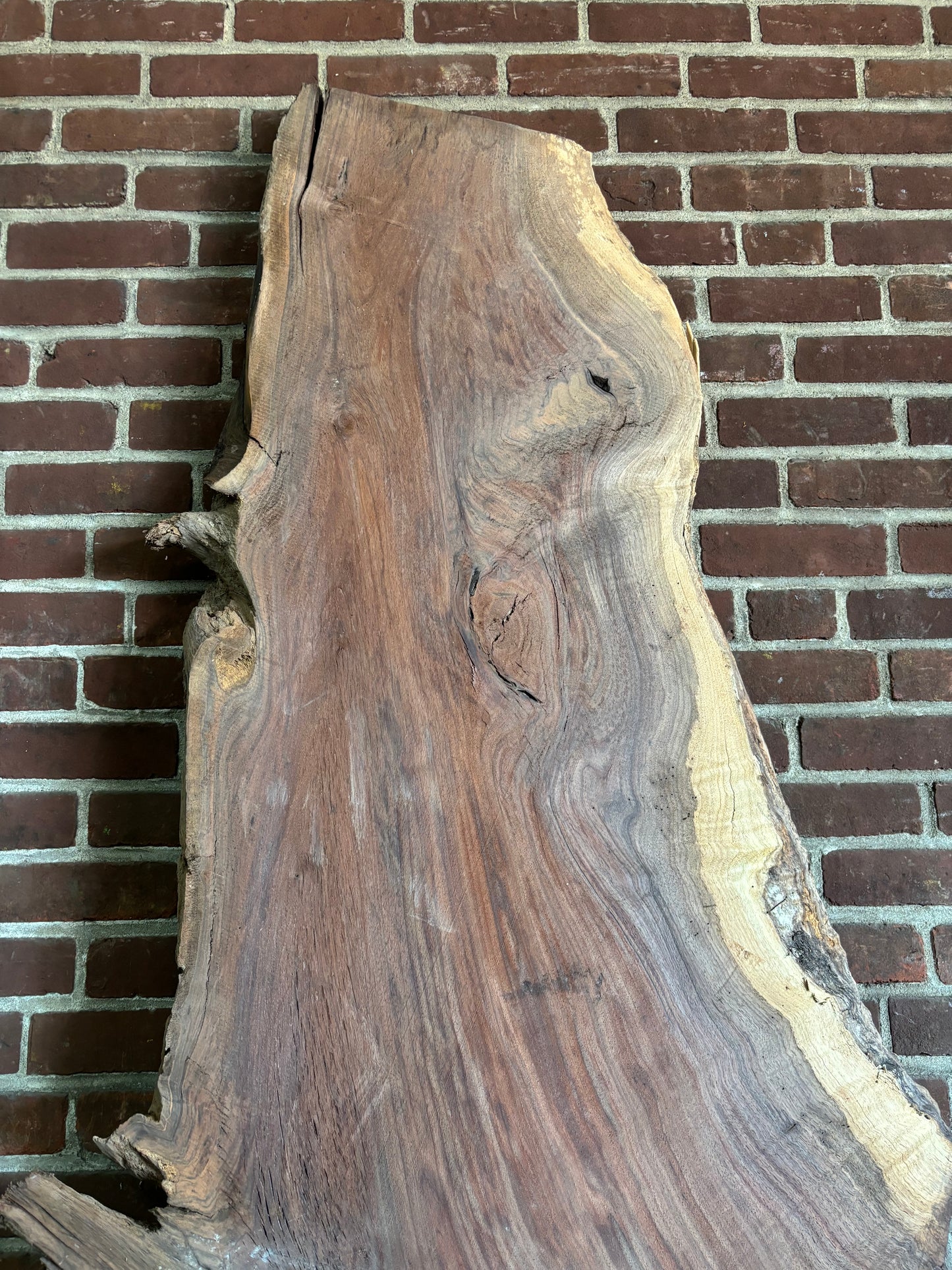 Eastern Black Walnut Slab SIVLKT0125