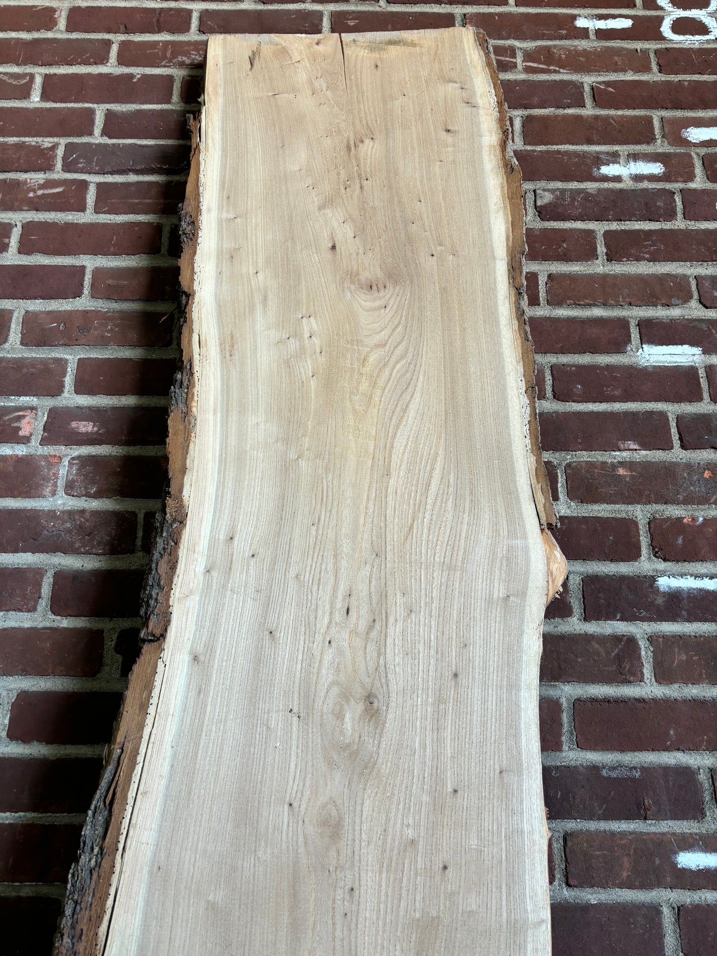 Elm Slab SIVLKT0090