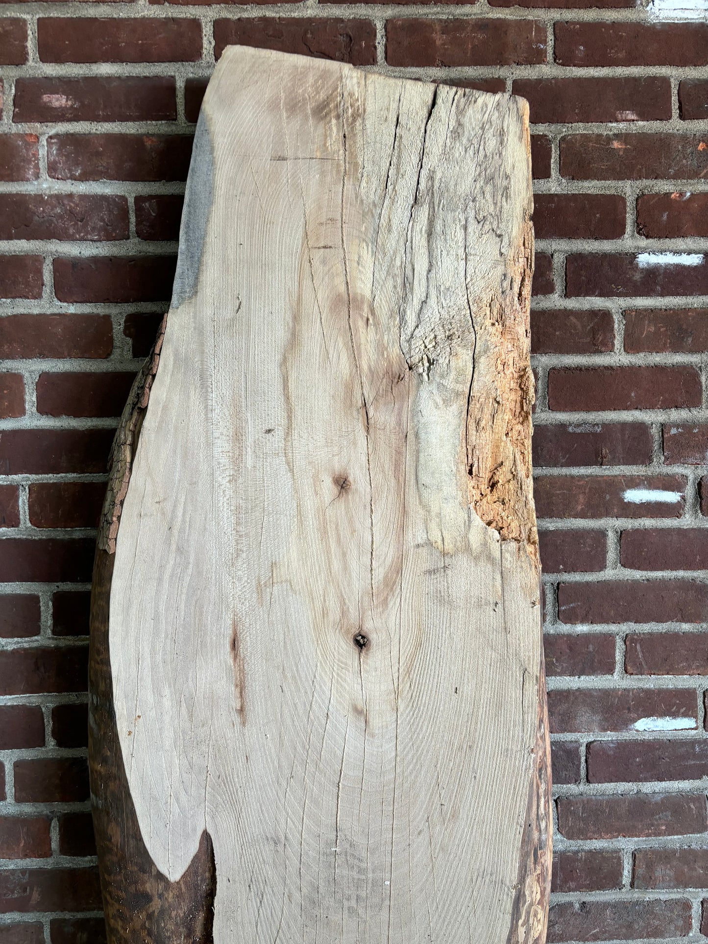 Sycamore Slab SIVLKT0122