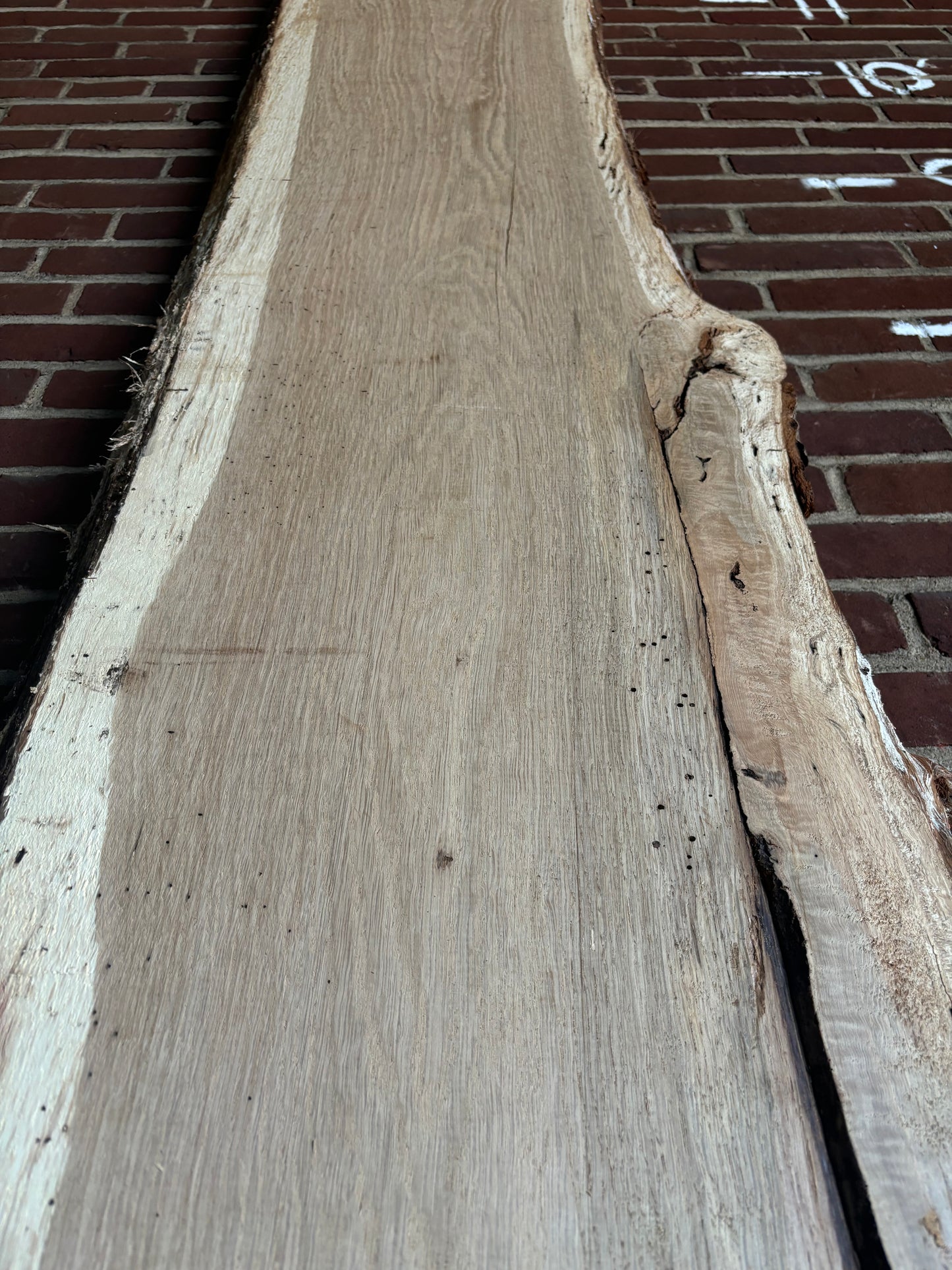 White Oak Slab SIVLKT0020