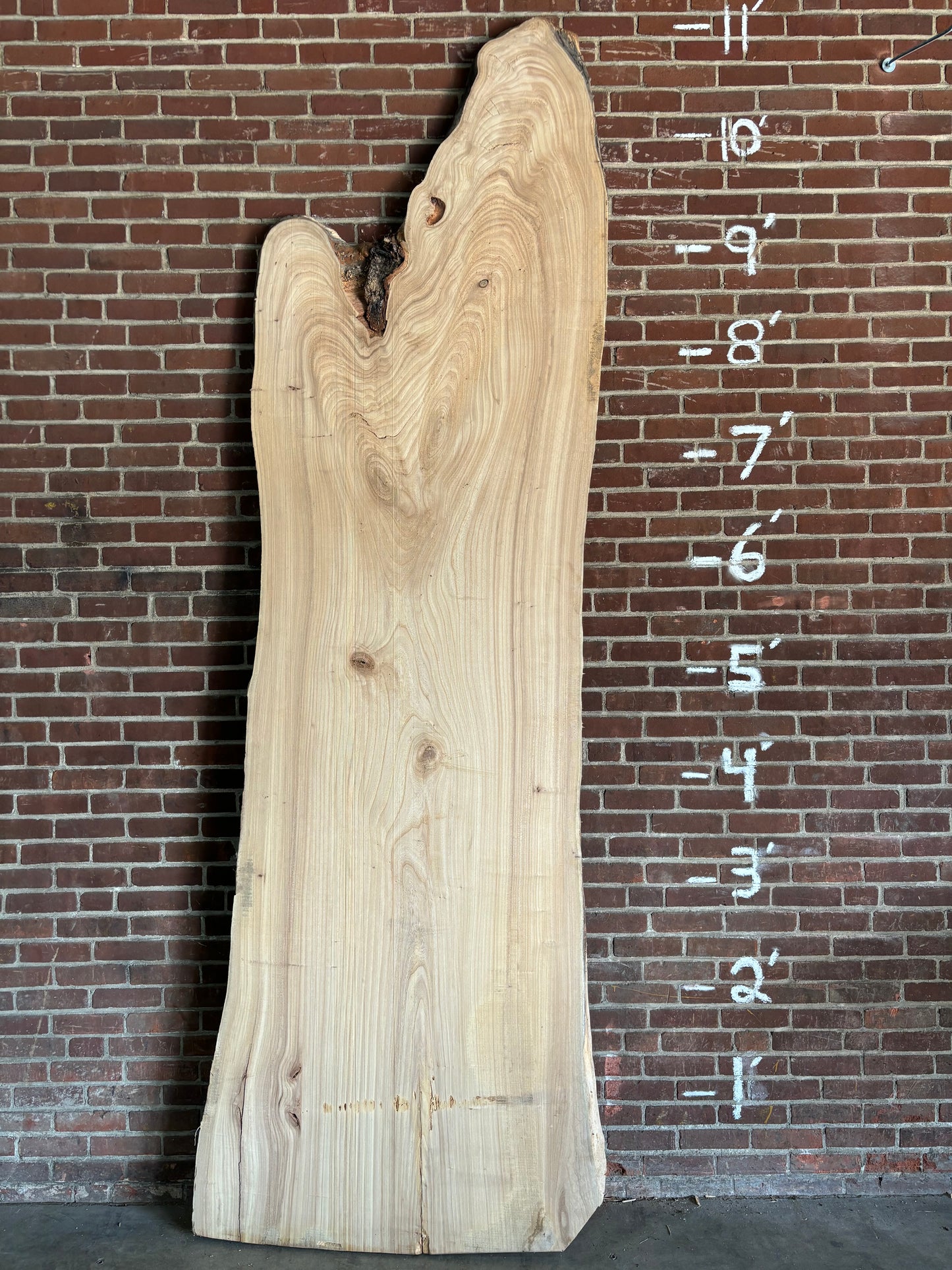 Elm Slab SIVLKT0115