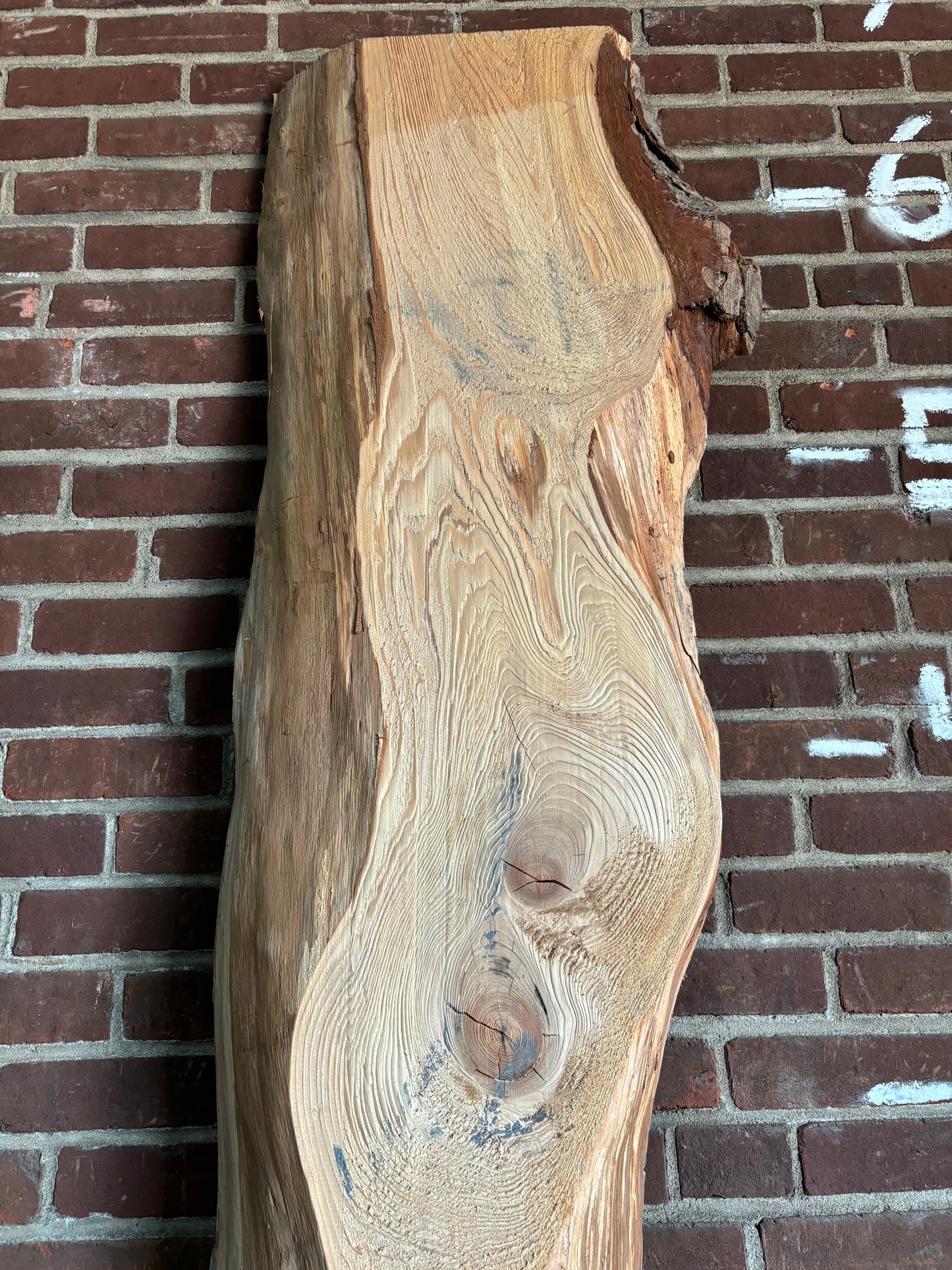 Hemlock Slab SIVLKT0105