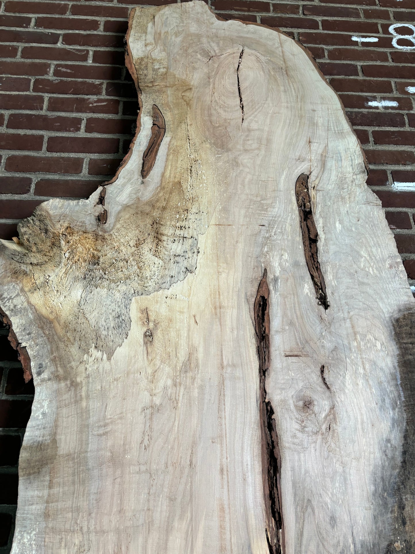 Maple Slab SIVLKT0047