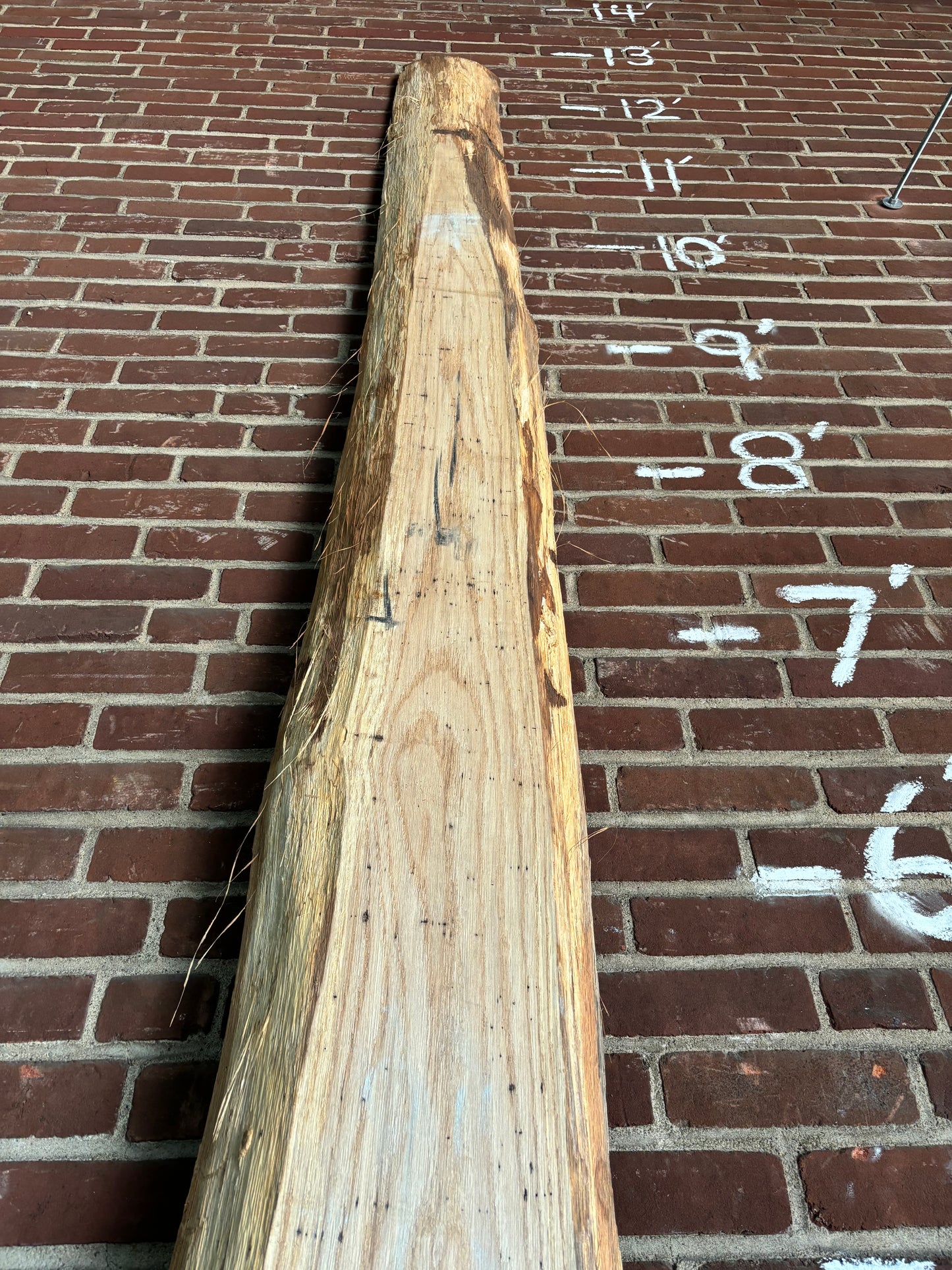 Red Oak Slab SIVLKT0106