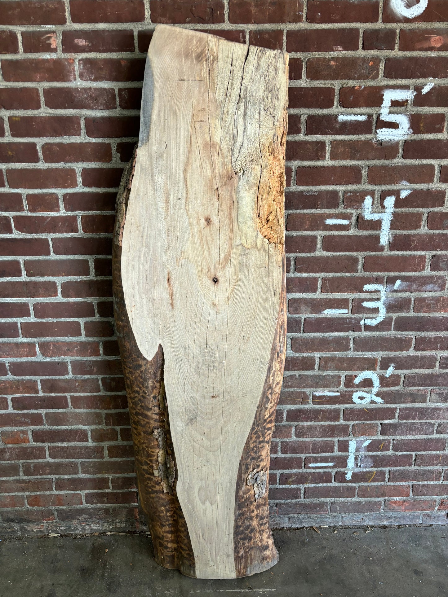 Sycamore Slab SIVLKT0122