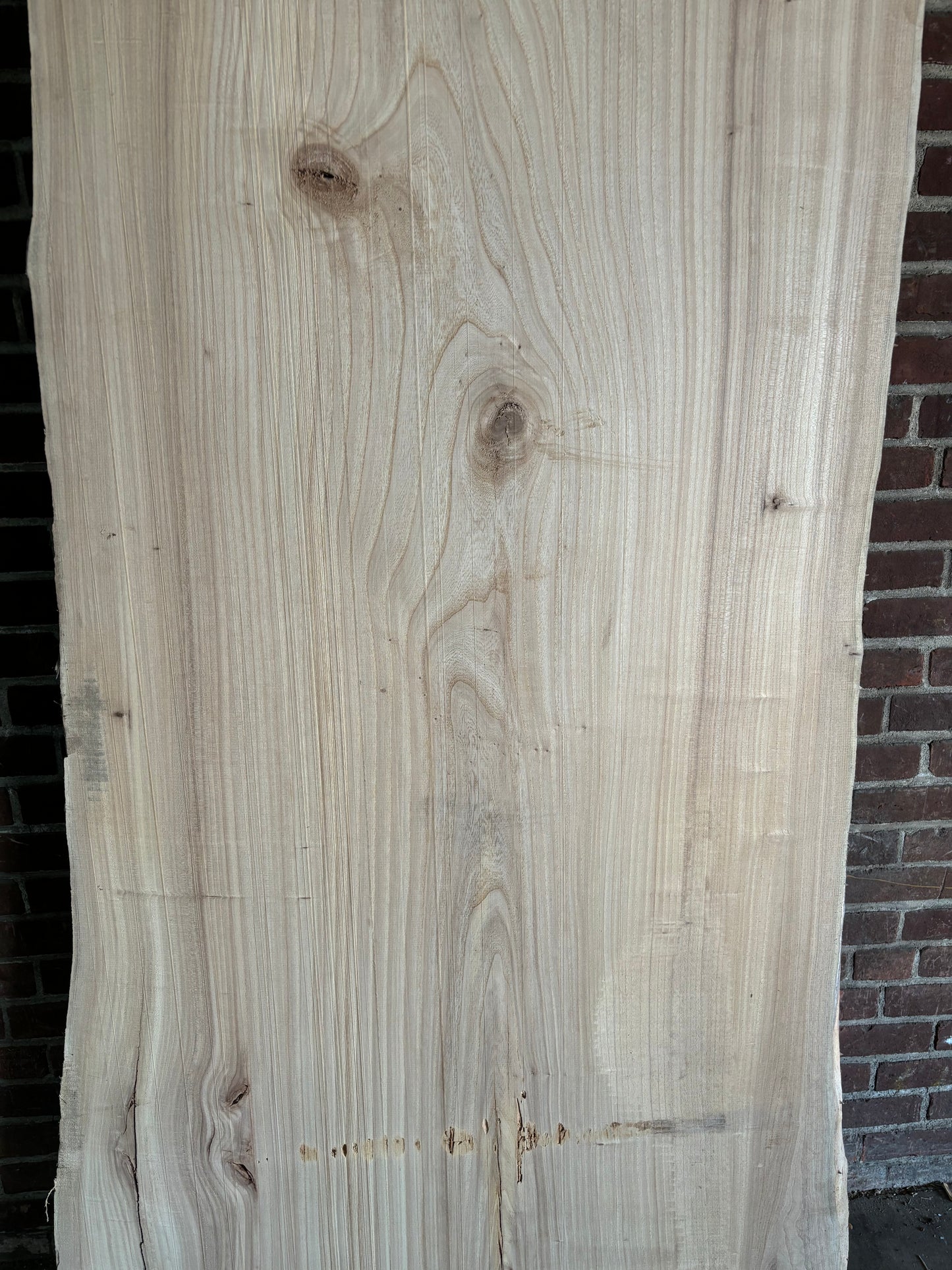 Elm Slab SIVLKT0115