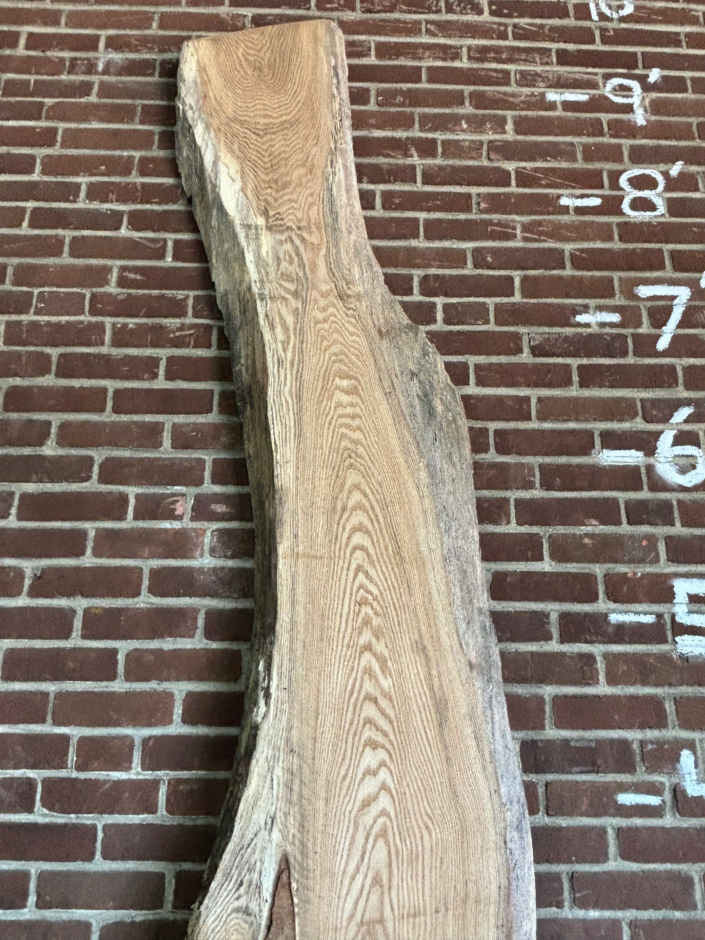 Red Oak Slab SIVLKT0141