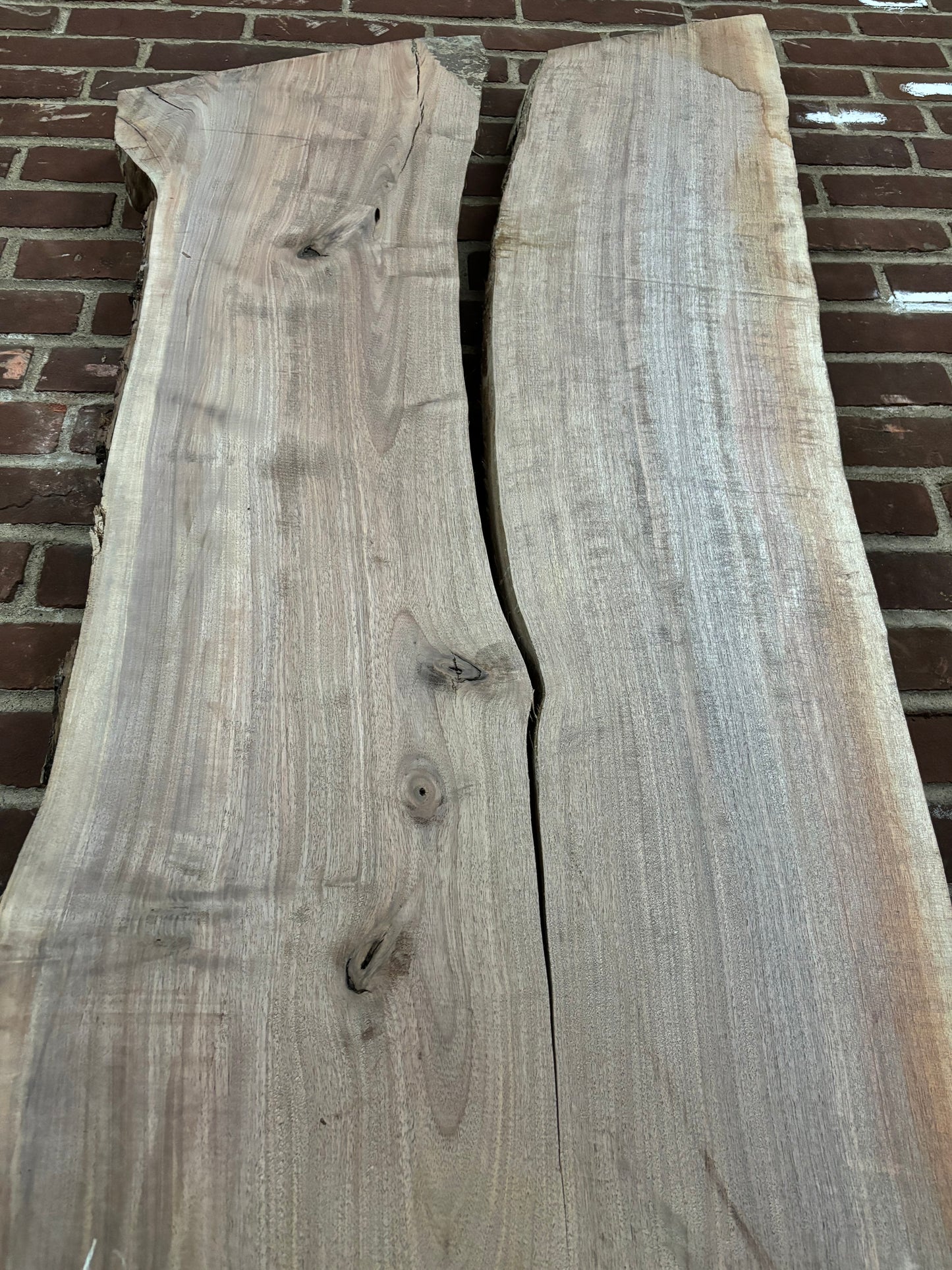 Eastern Black Walnut Slab SIVLKT0062