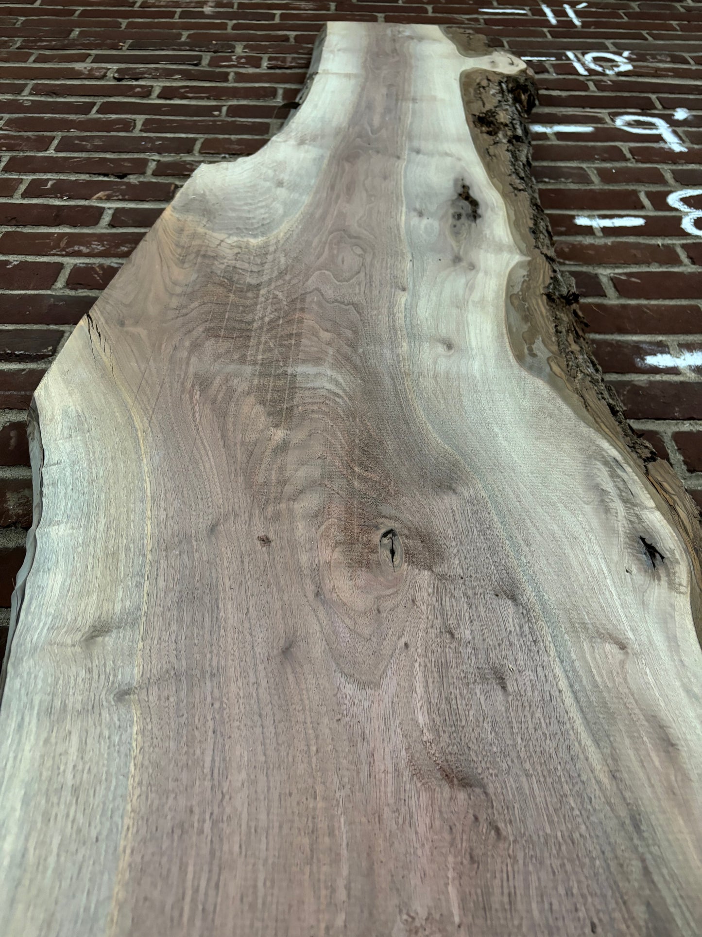 Eastern Black Walnut Slab SIVLKT0075