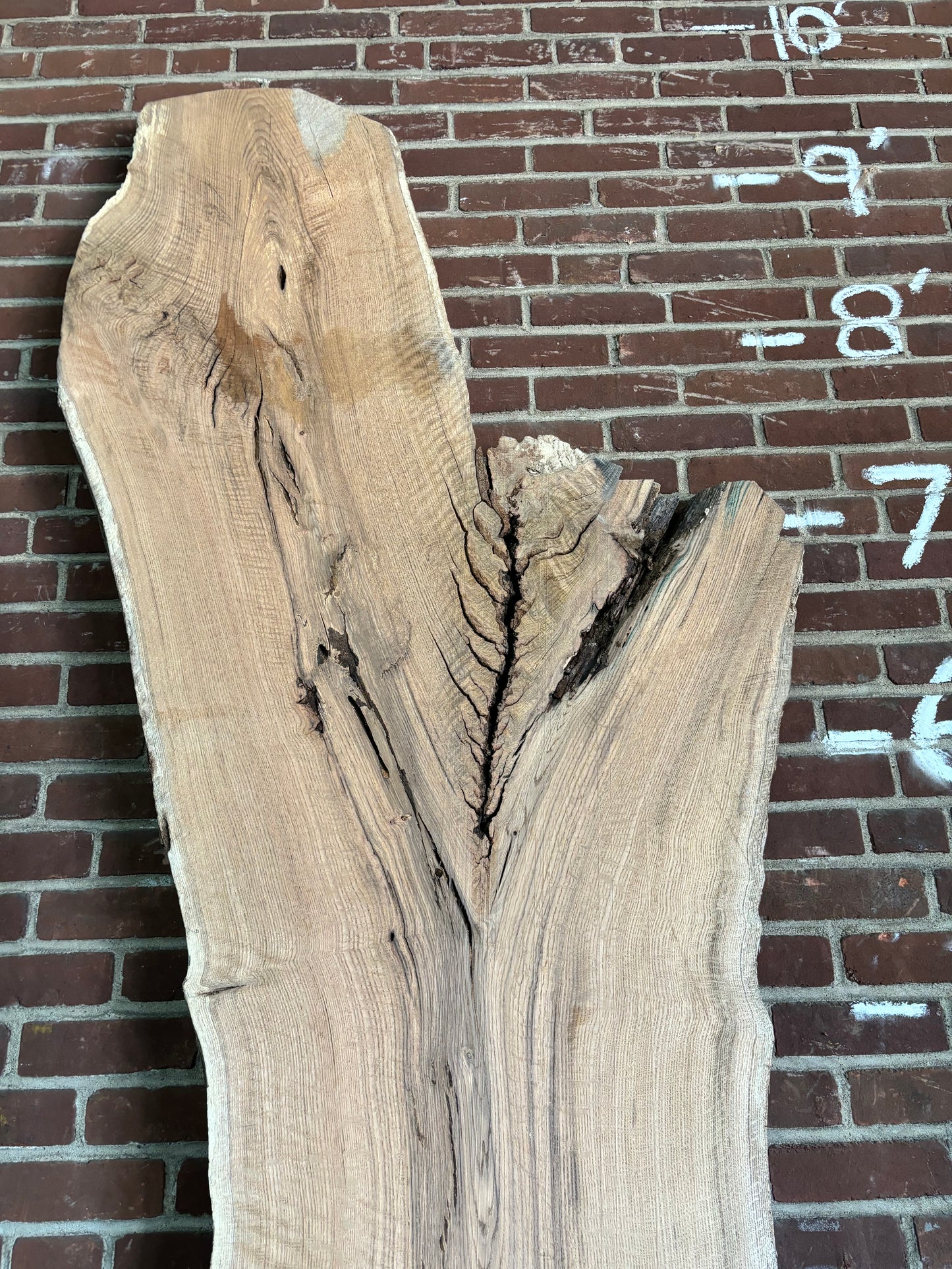 Red Oak Slab SIVLKT0135