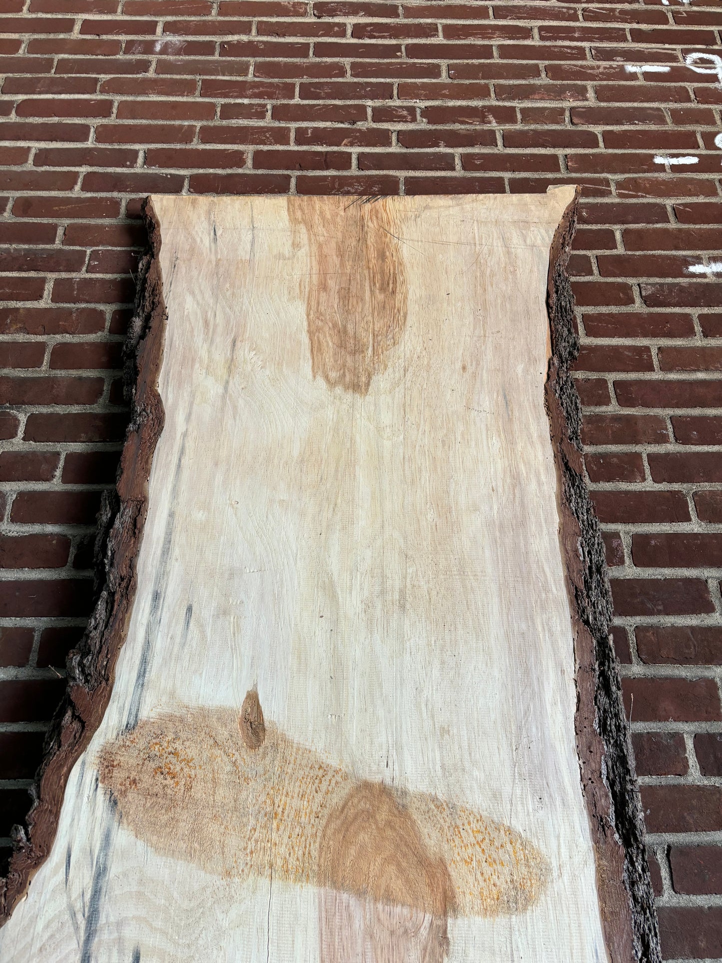 White Pine Slab SIVLKT0104
