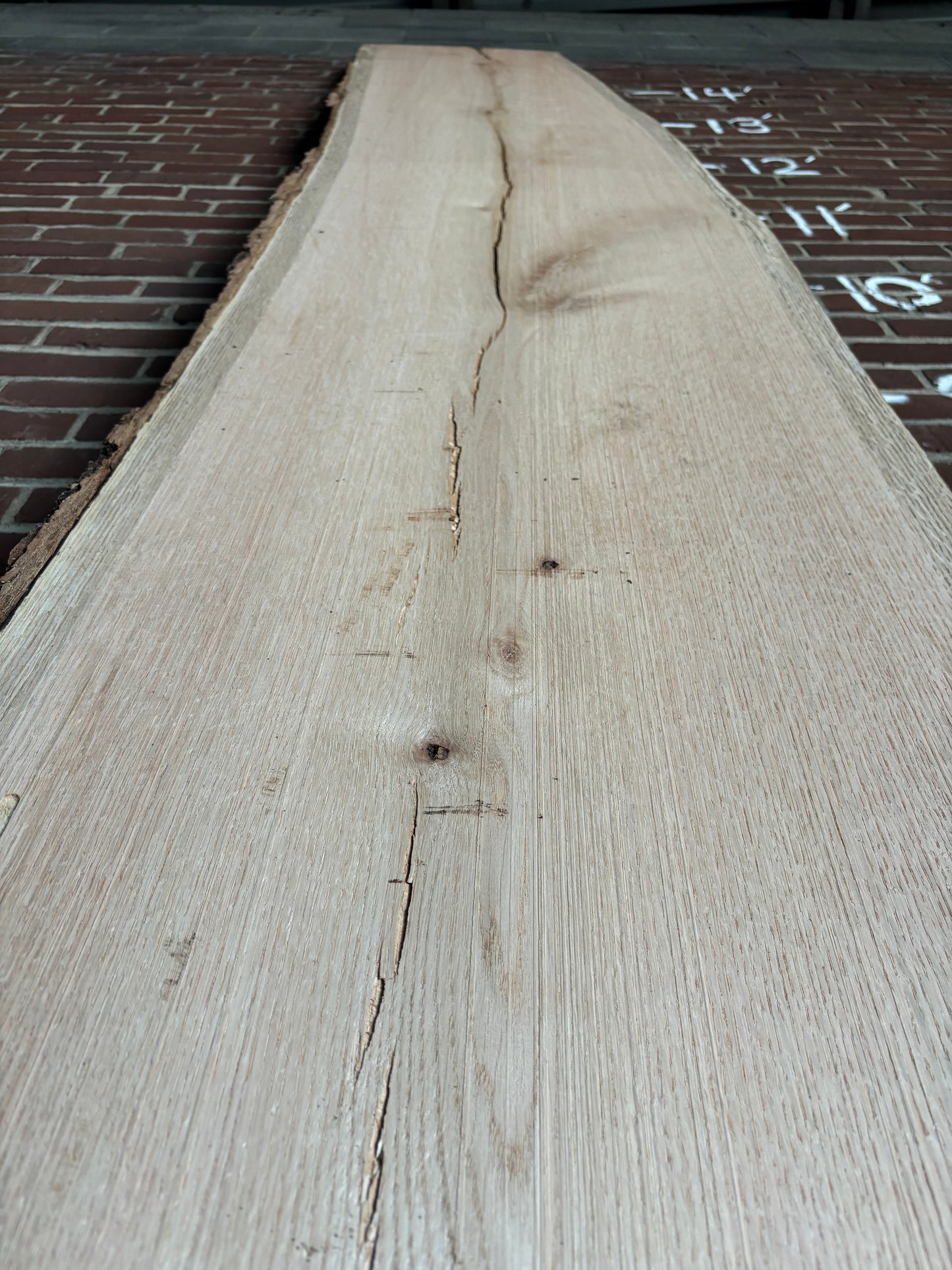 Red Oak Slab SIVLKT0025