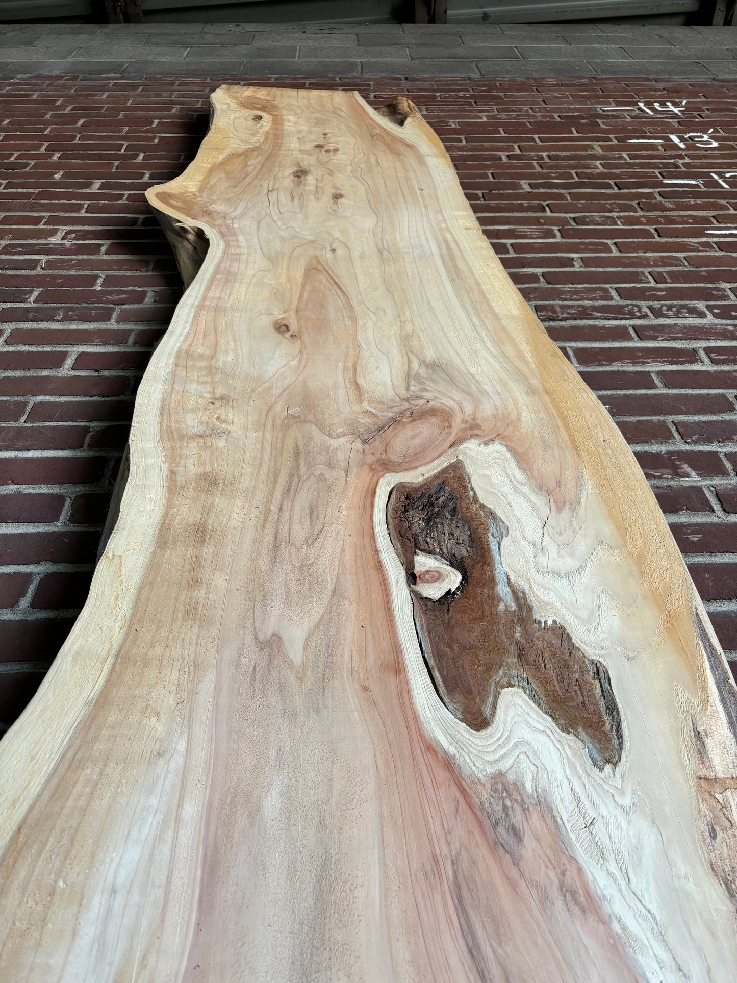 Cedar Slab SIVLKT0082