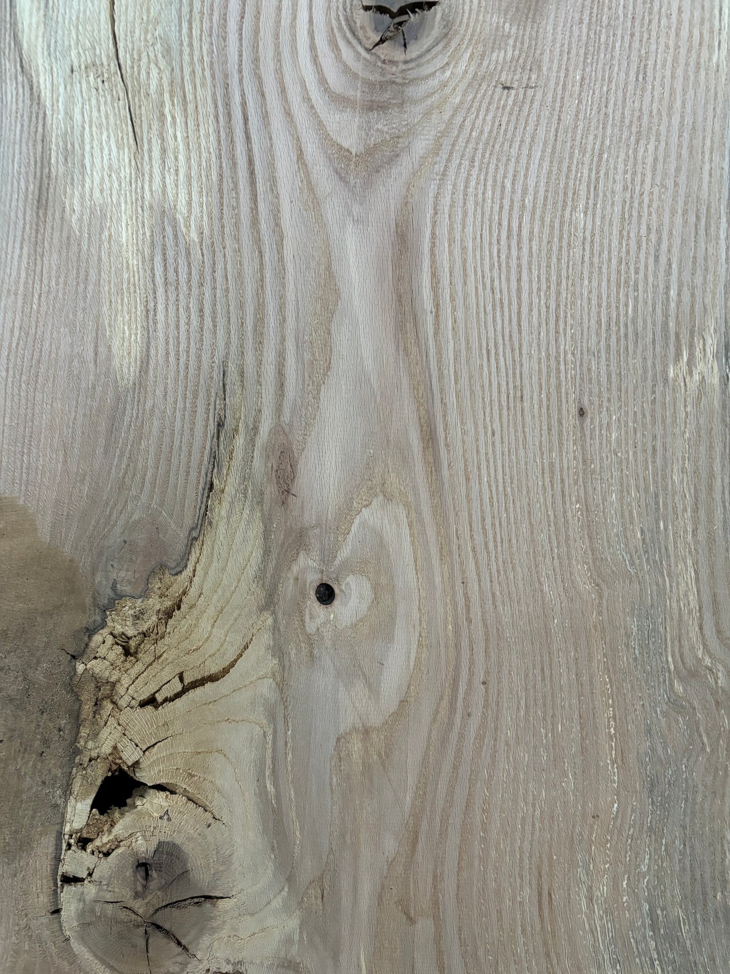 Red Oak Slab SIVLKT0055