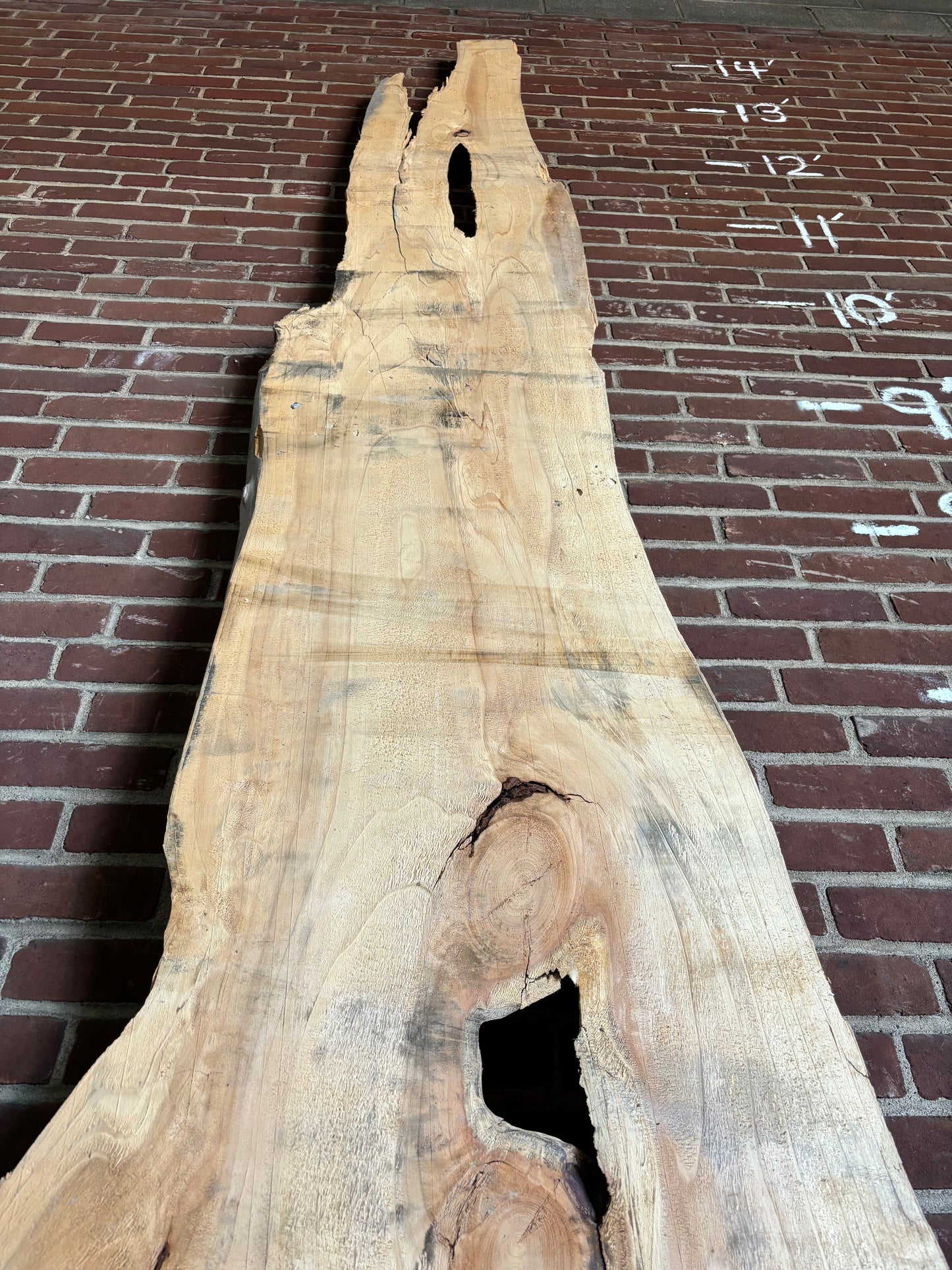Cedar Slab SIVLKT0086