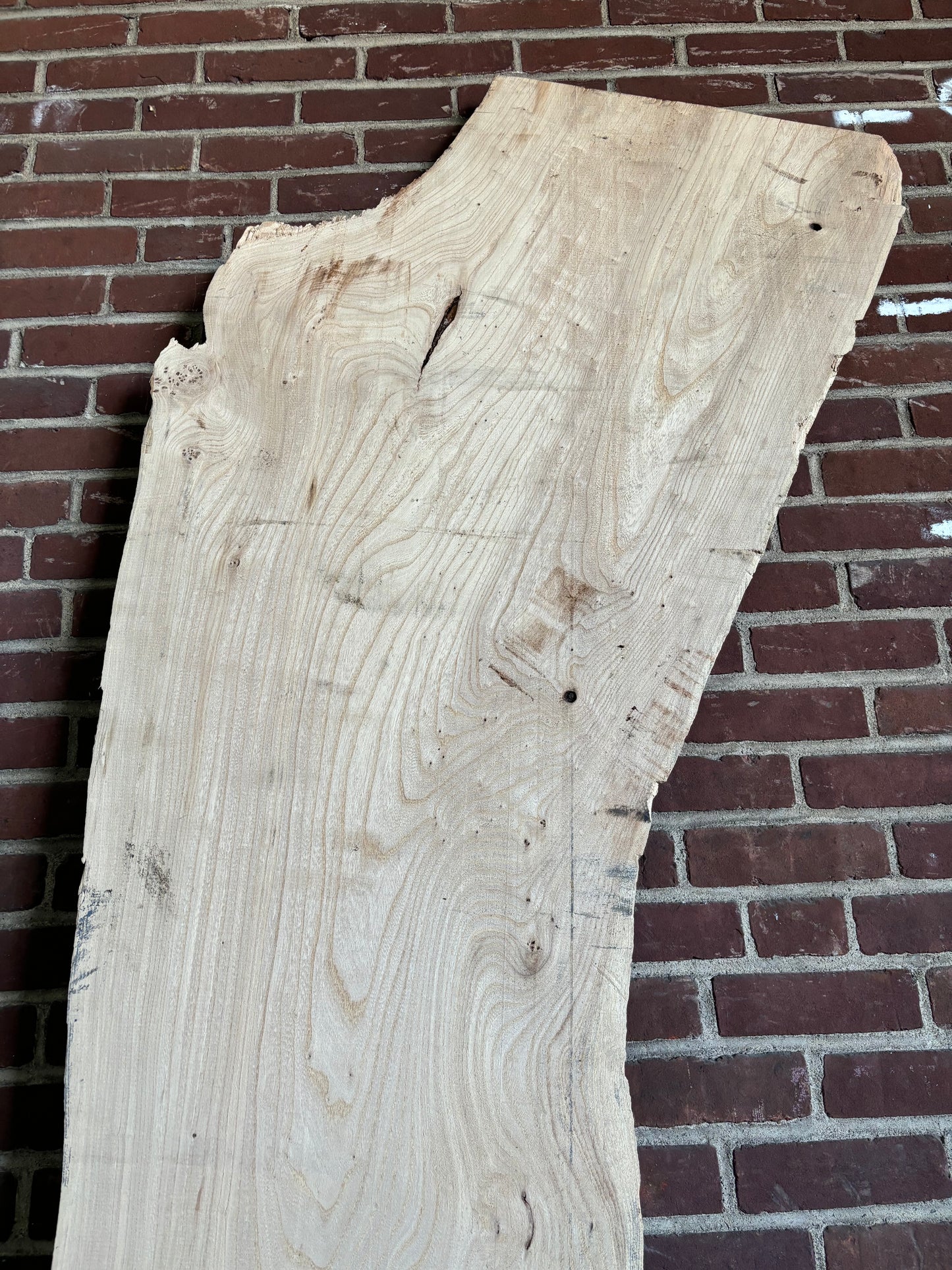 Elm Slab SIVLKT0089