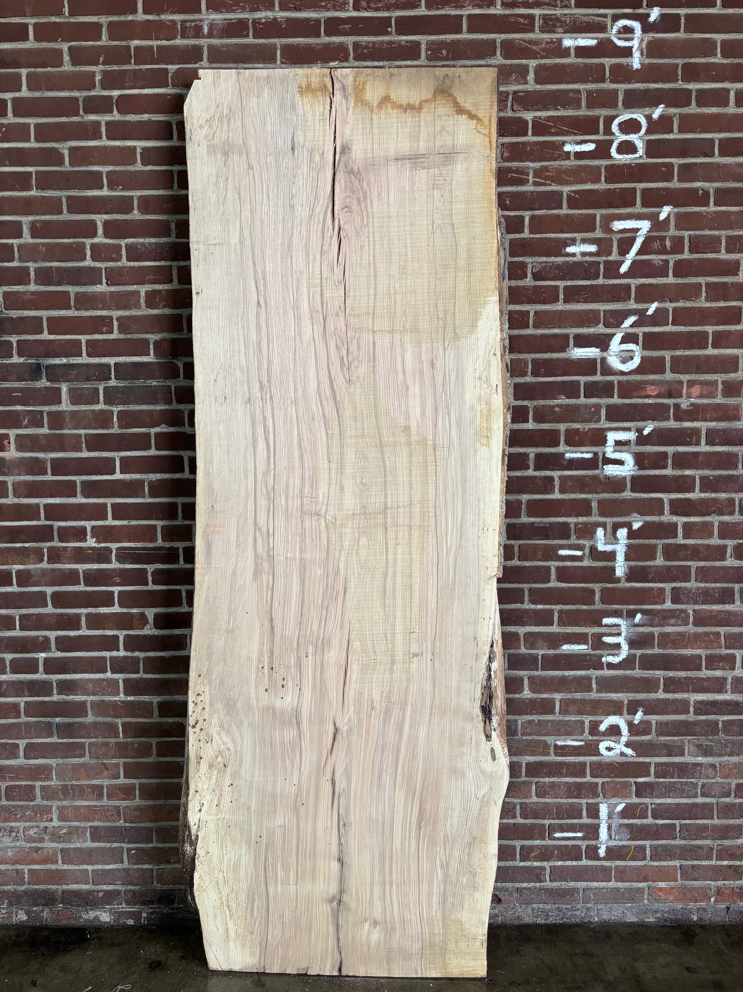 Ash Slab SIVLKT0175