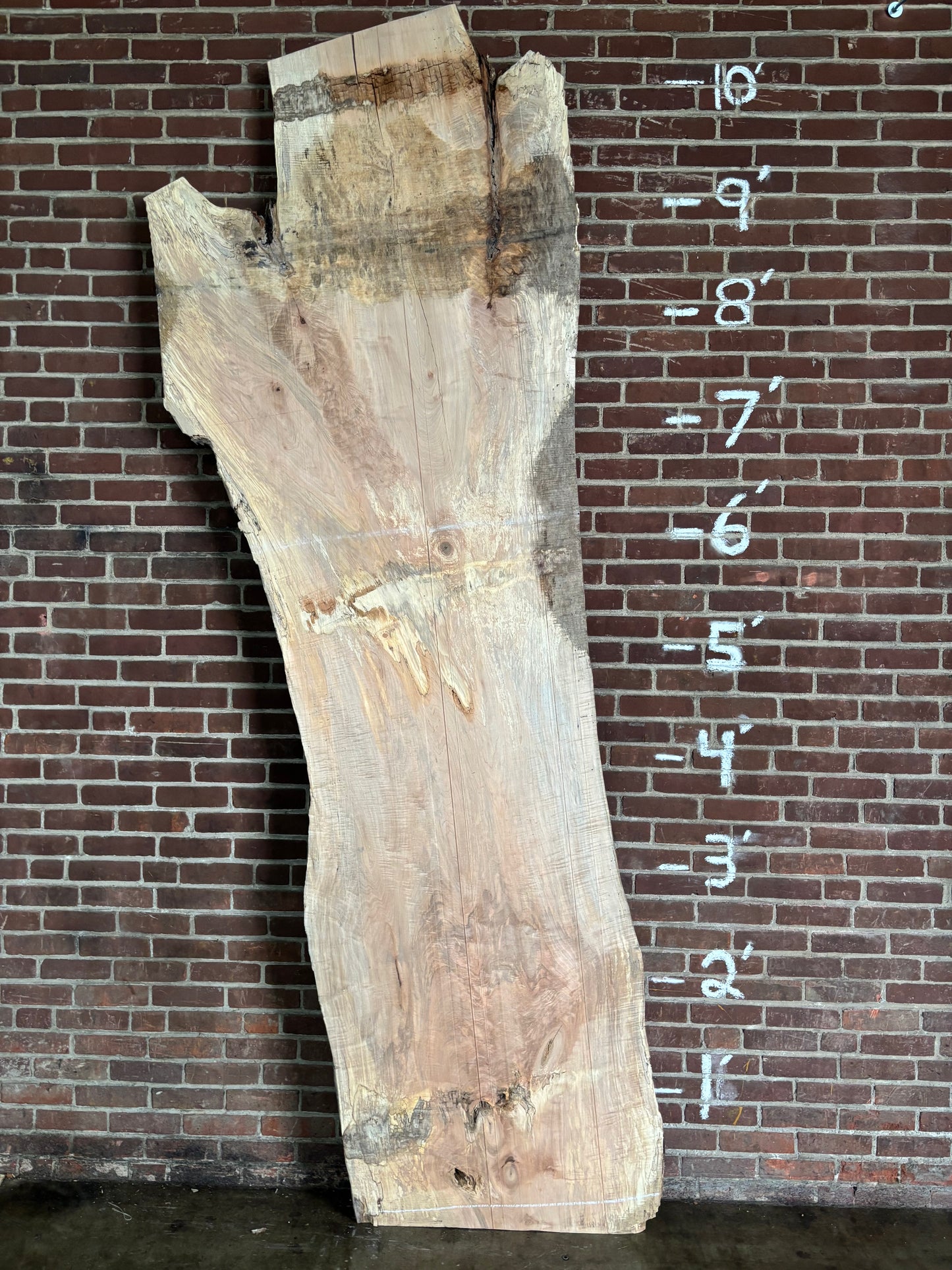 Maple Slab SIVLKT0177