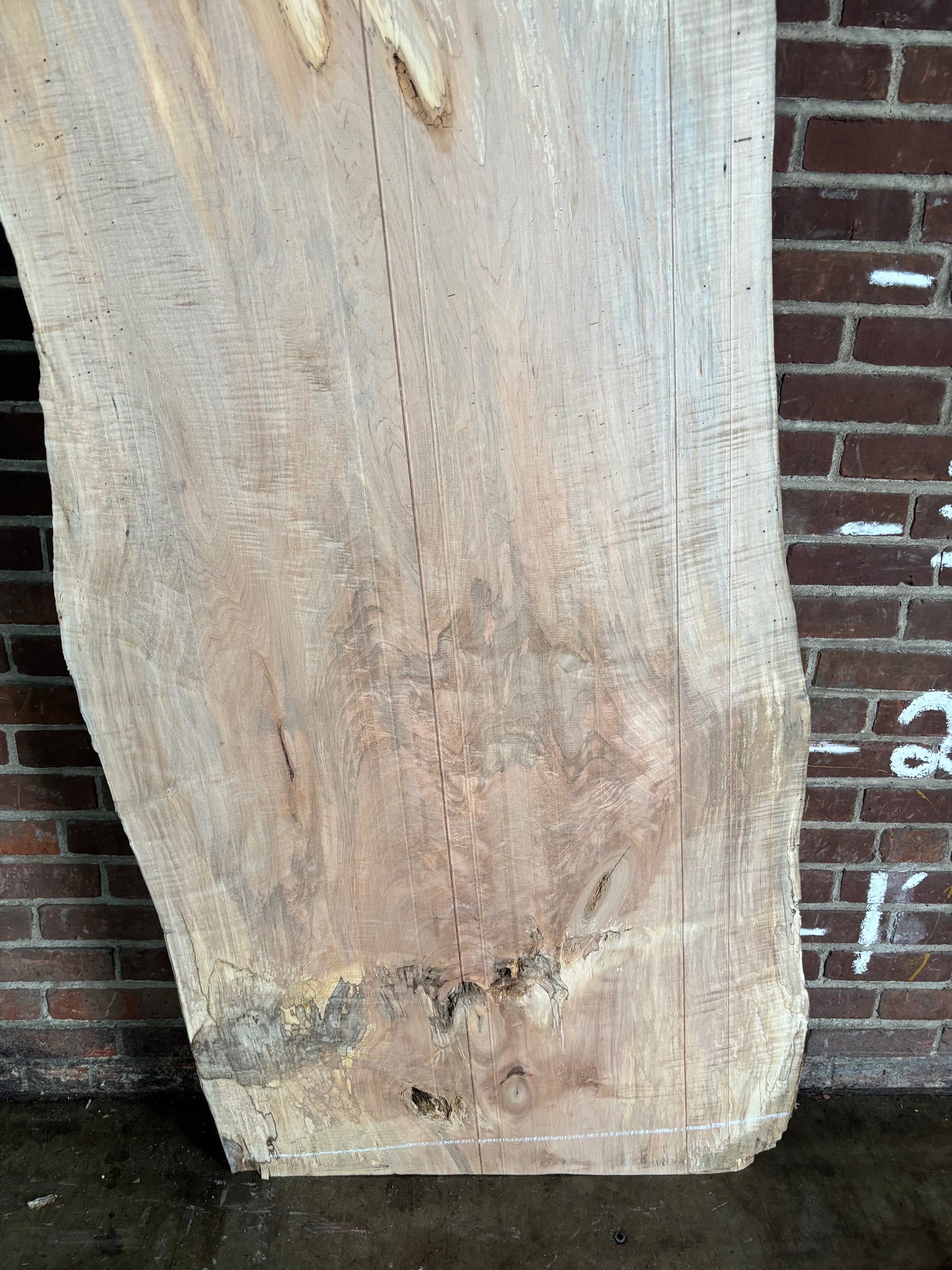 Maple Slab SIVLKT0177