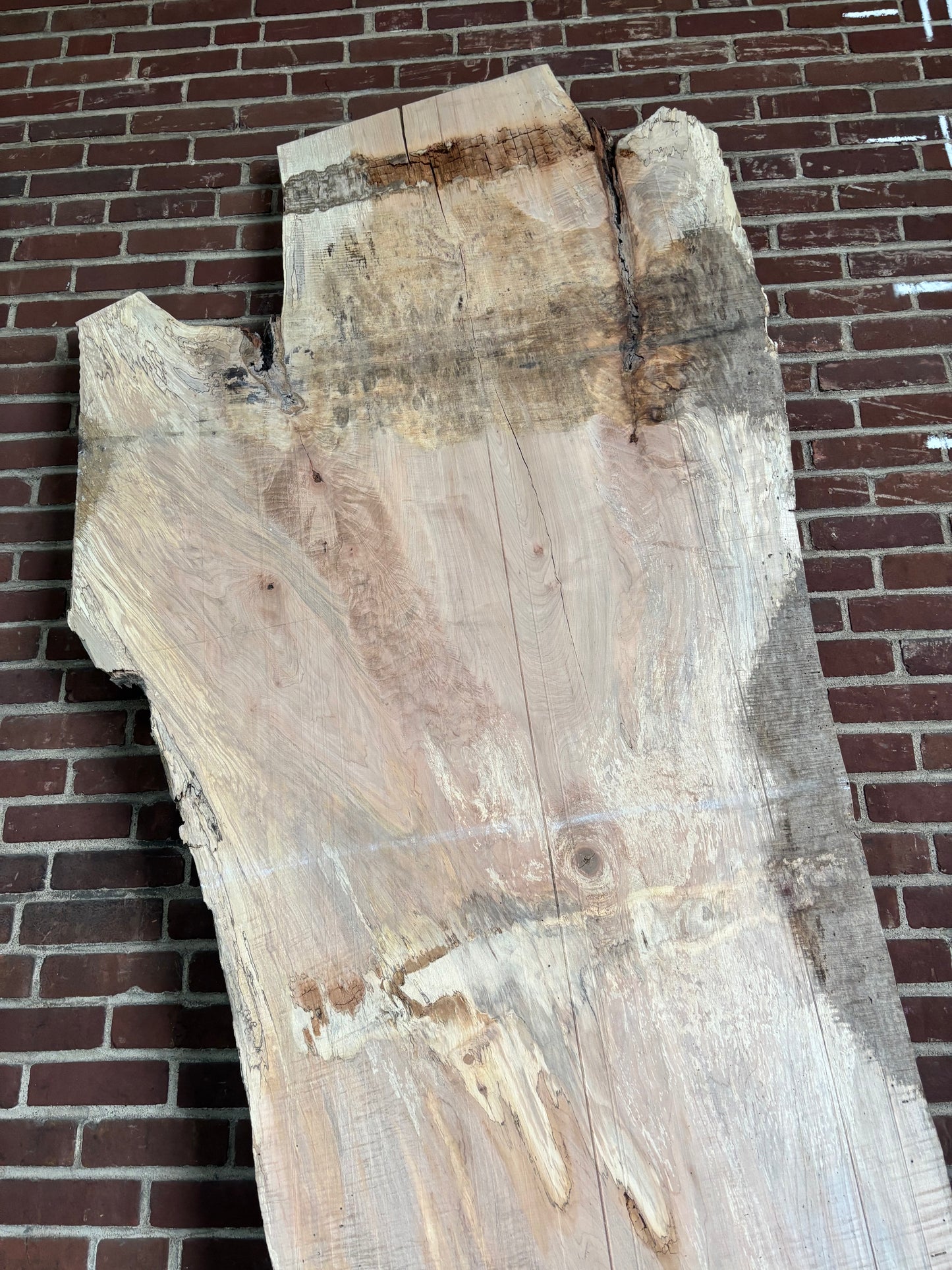 Maple Slab SIVLKT0177