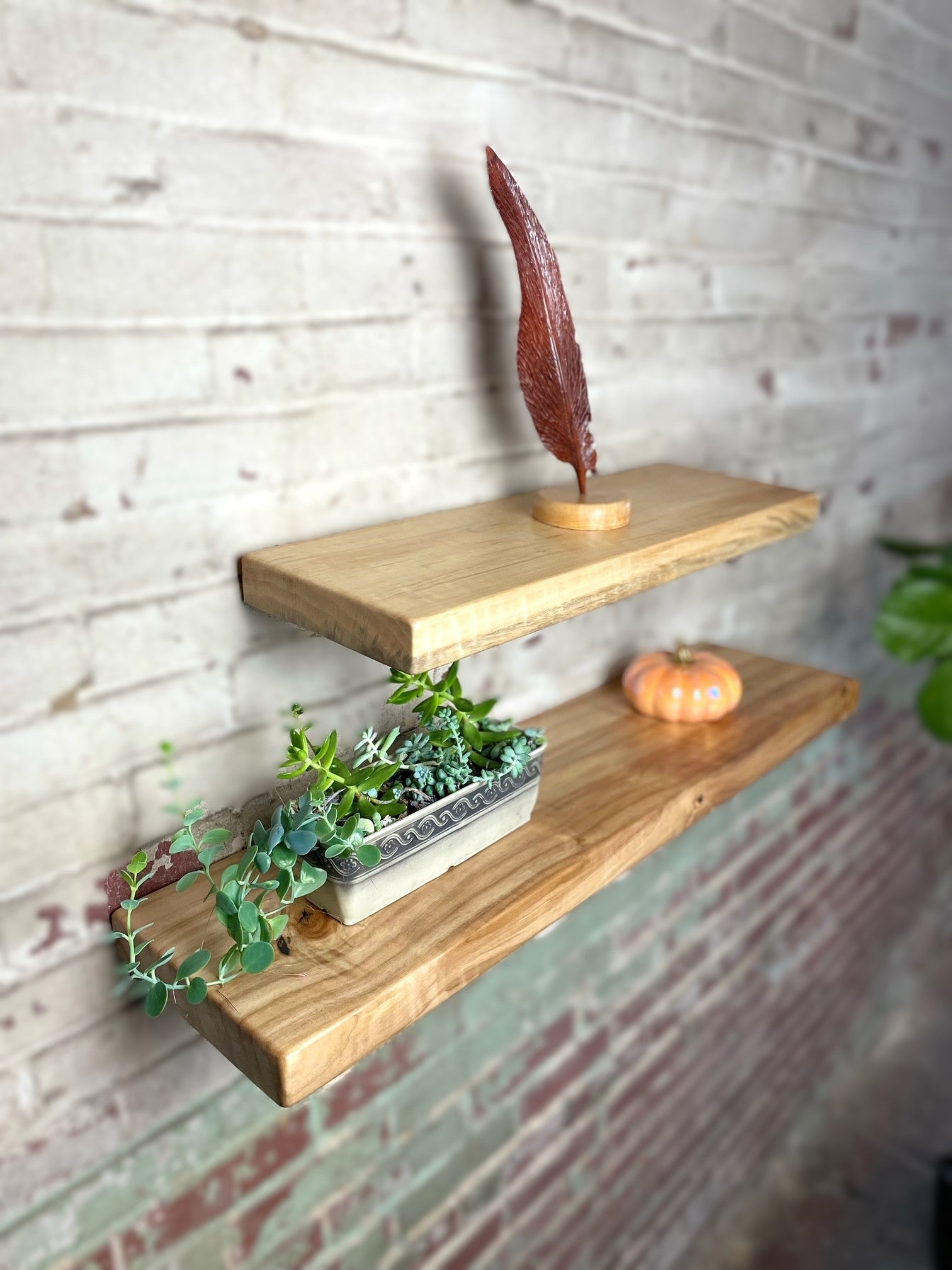 hanging shelves for plants Handmade, sustainable and locally sourced wood furniture