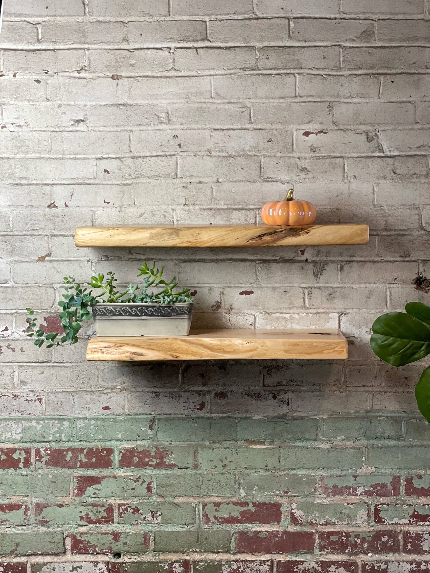 Live Edge Floating Shelf