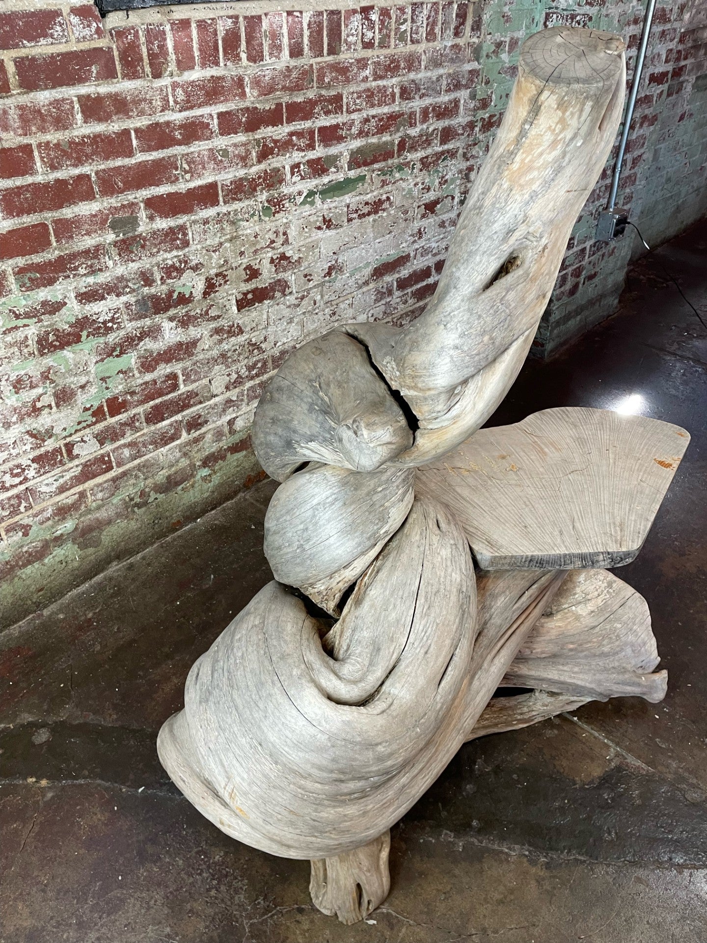 Bristlecone Pine Table Sculpture