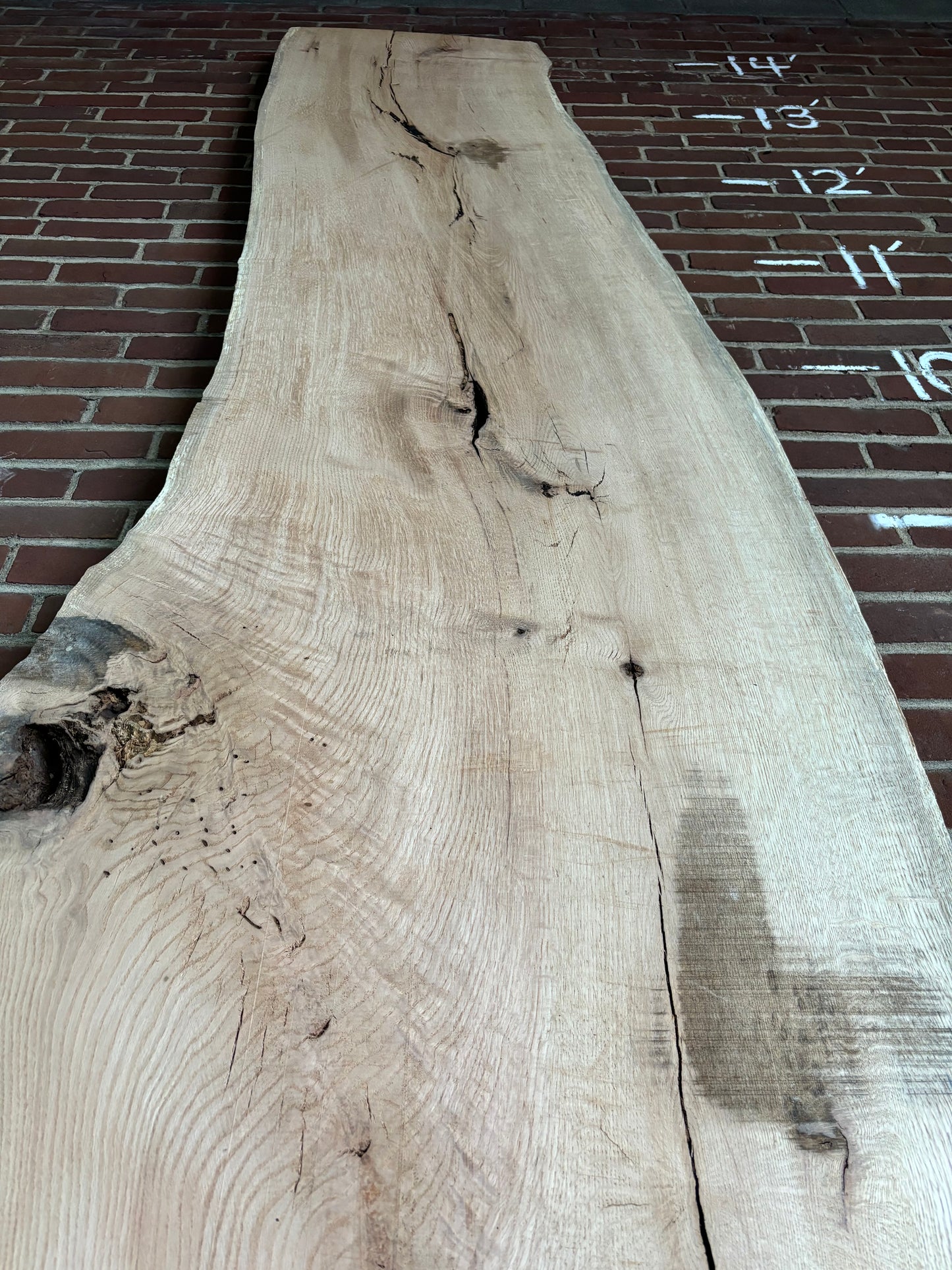 Red Oak Slab SIVLKT0011