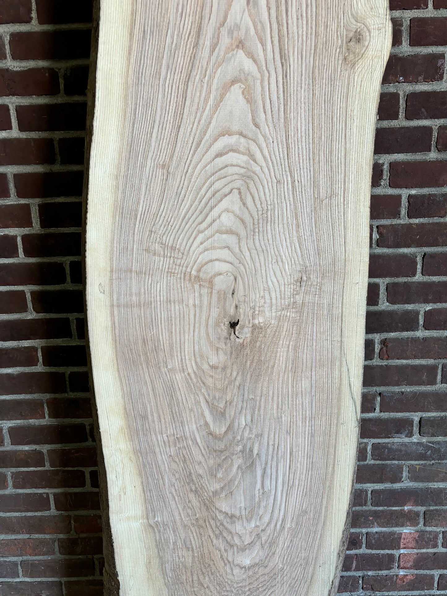 Ash Slab SIVLKT0098