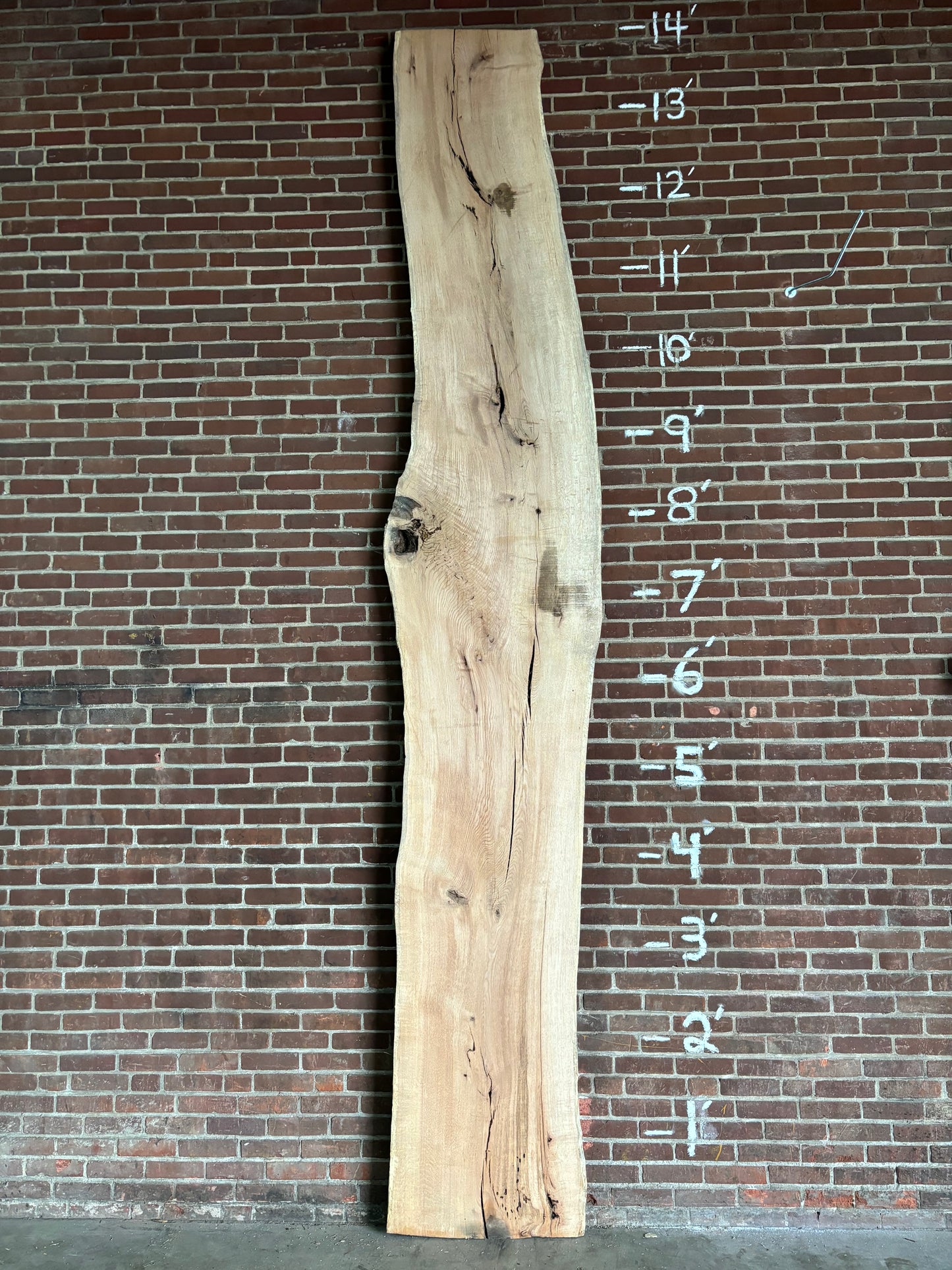 Red Oak Slab SIVLKT0011