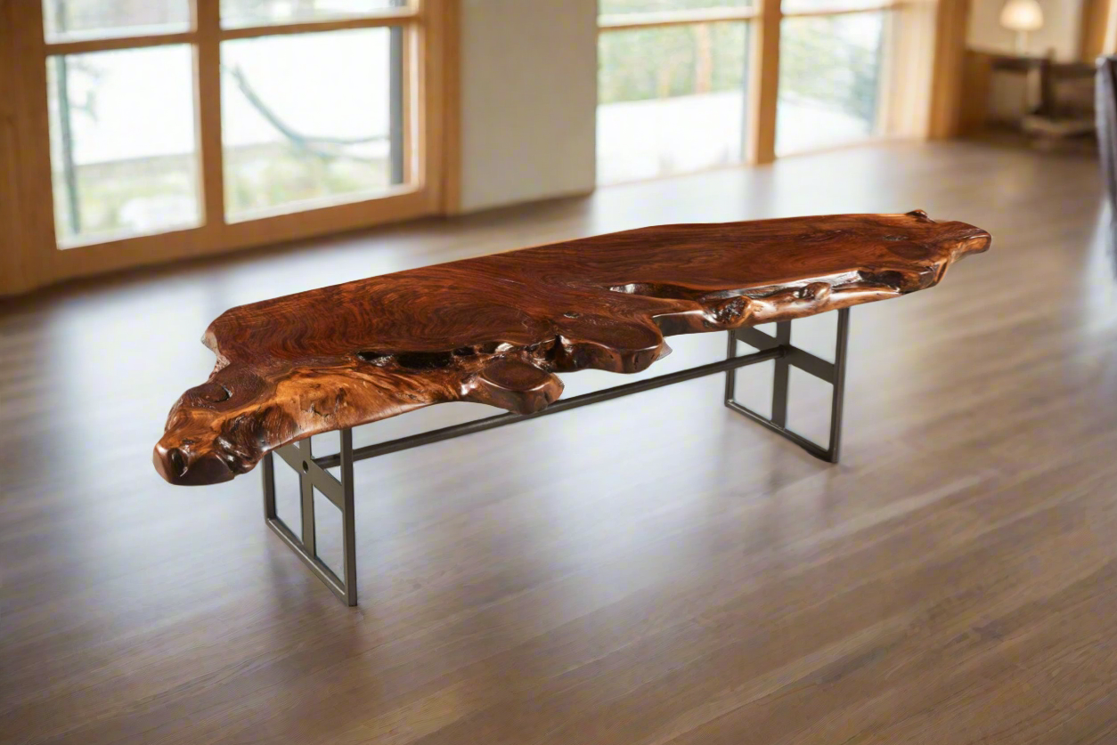 Black Walnut Tree Root Table