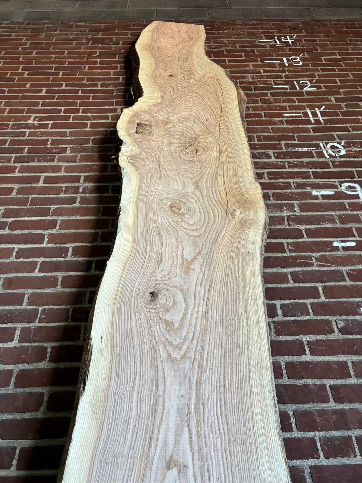 Ash Slab SIVLKT0098