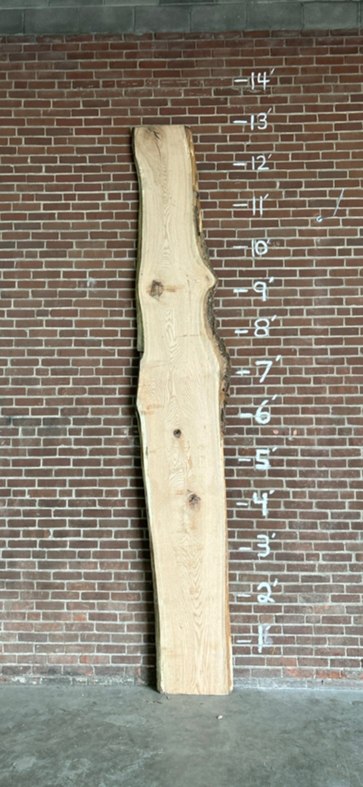 Red Oak Slab SIVLKT0006