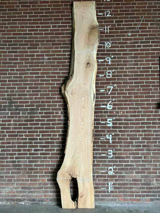 Red Oak Slab SIVLKT0007