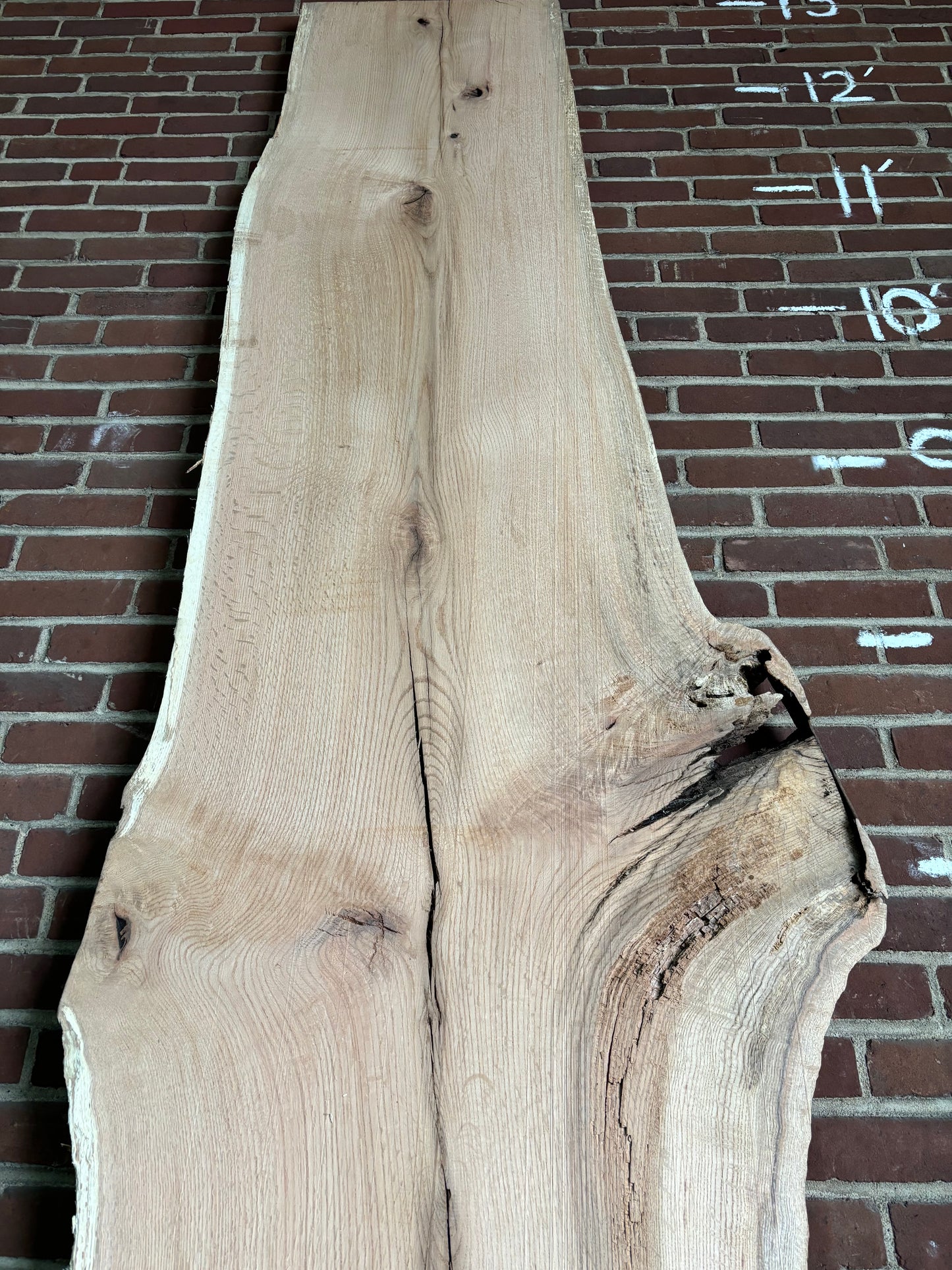 Red Oak Slab SIVLKT0008