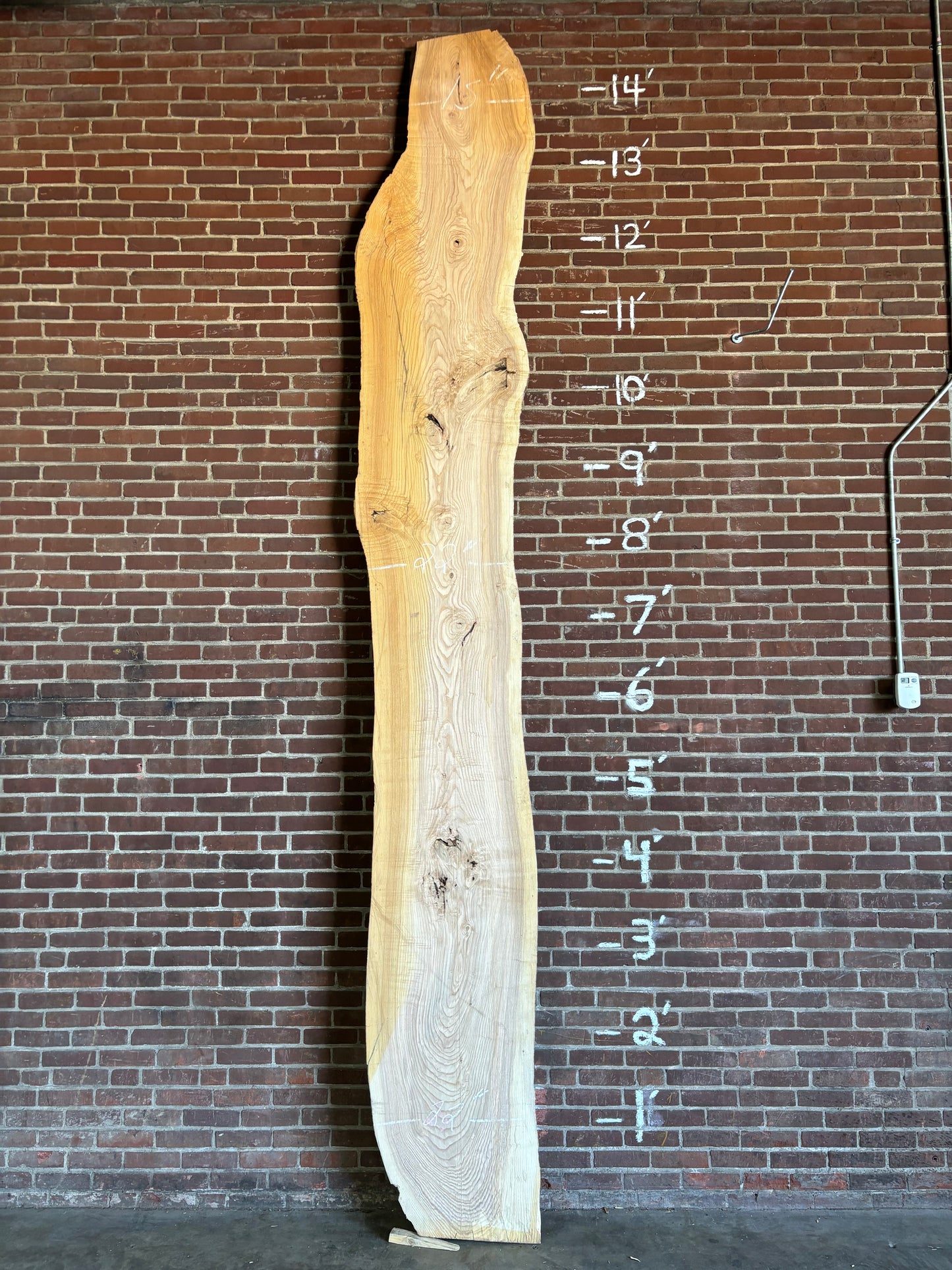 Ash Slab SIVLKT0098