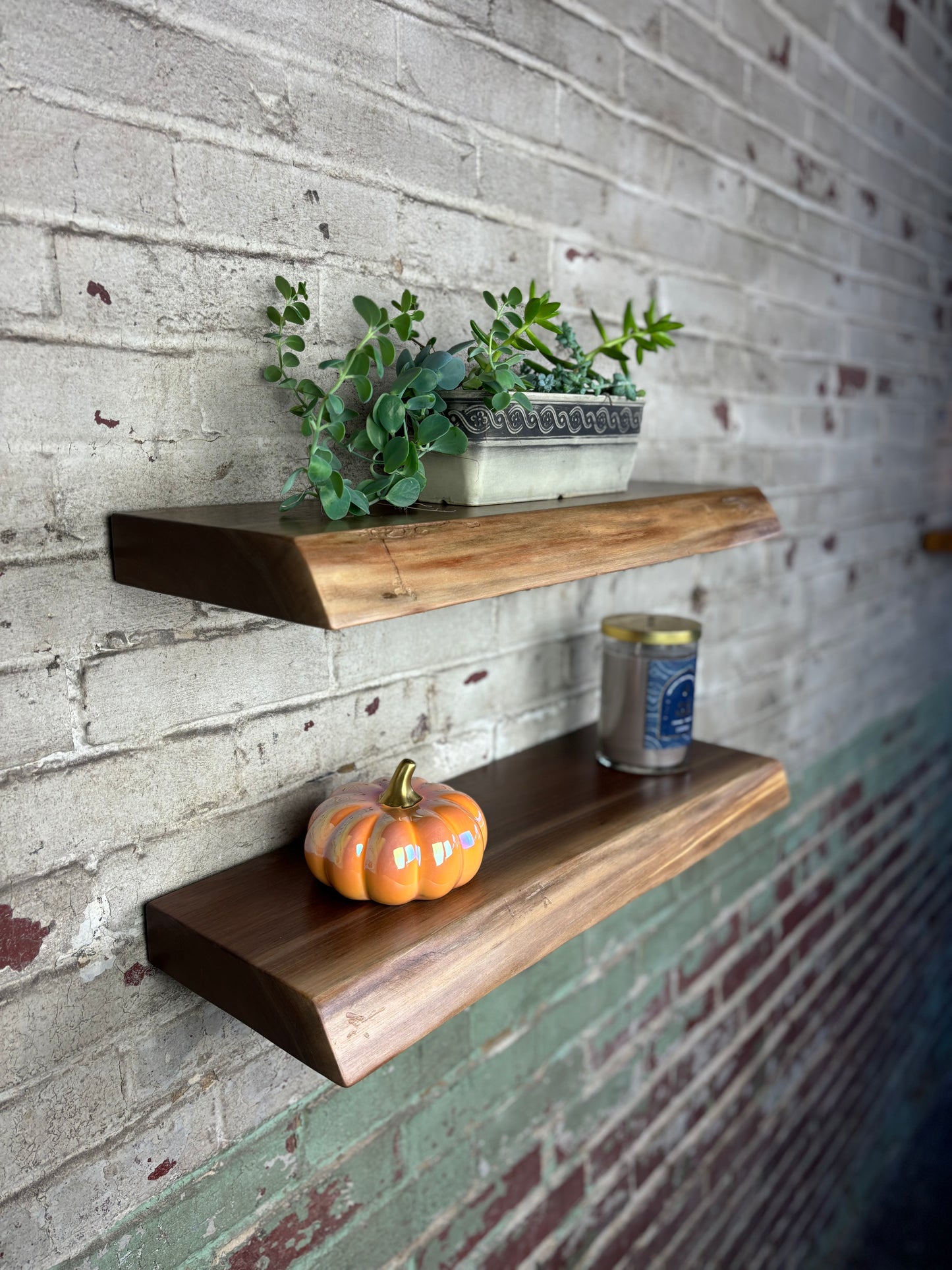 Live Edge Floating Shelf