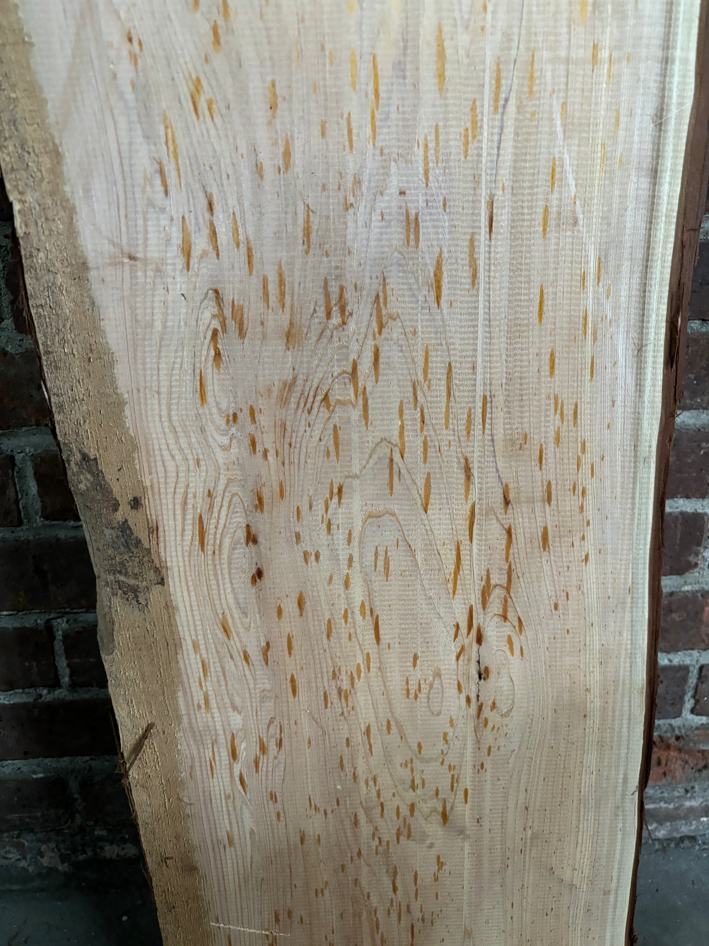 Alaskan Yellow Pine Slab SIVLKT0012