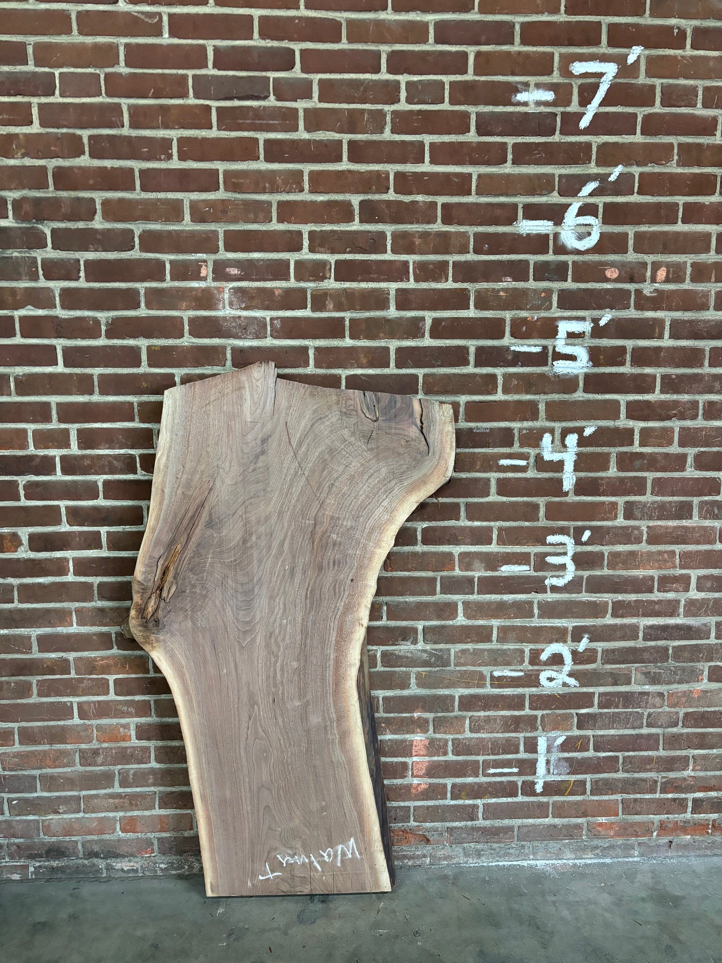 Eastern Black Walnut Slab SIVLKT0001