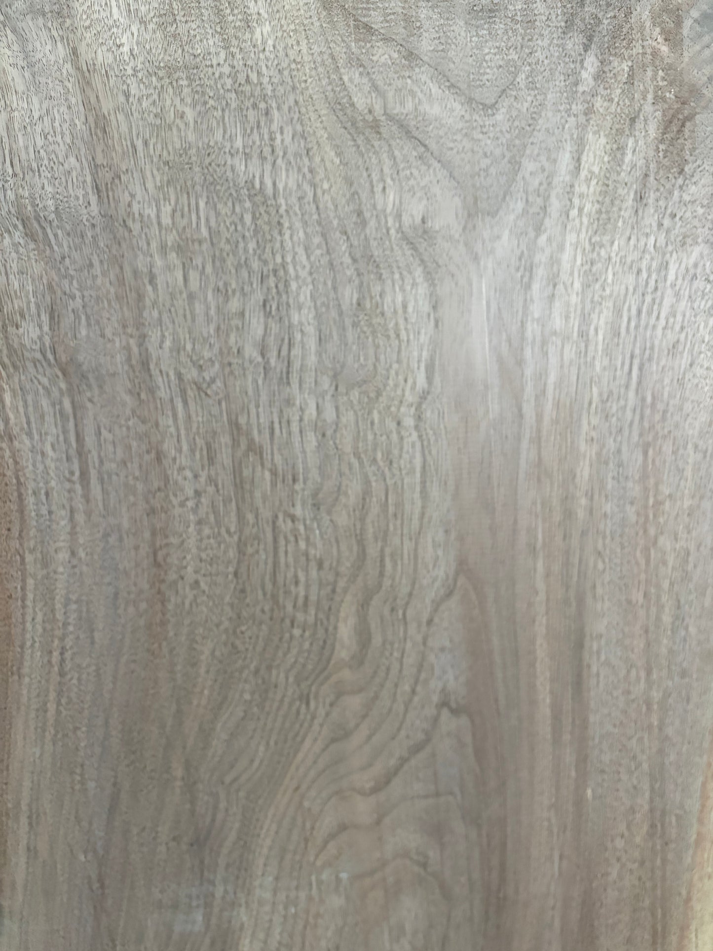 Eastern Black Walnut Slab SIVLKT0001