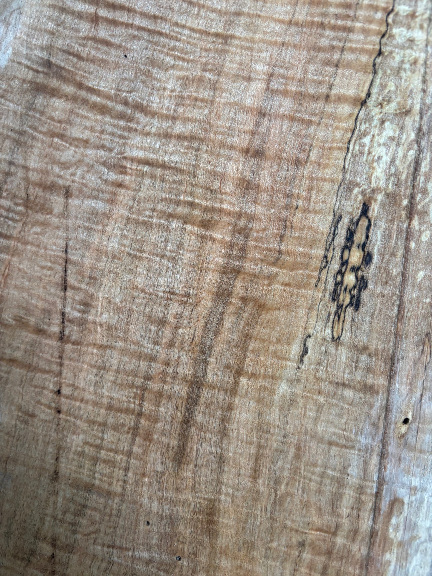 Maple Slab SIVLKT0176
