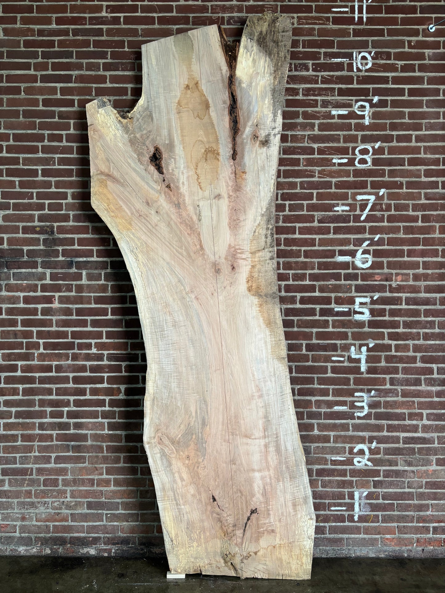 Maple Slab SIVLKT0176