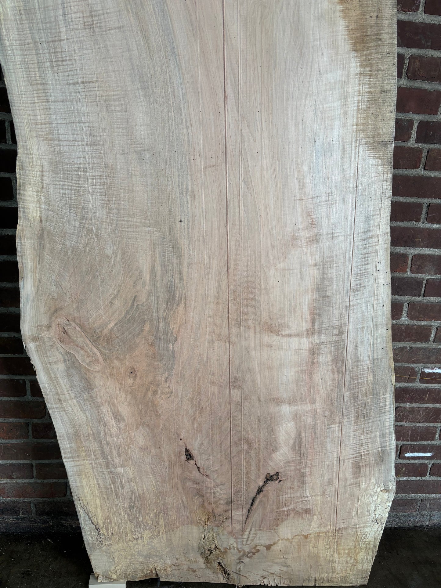 Maple Slab SIVLKT0176