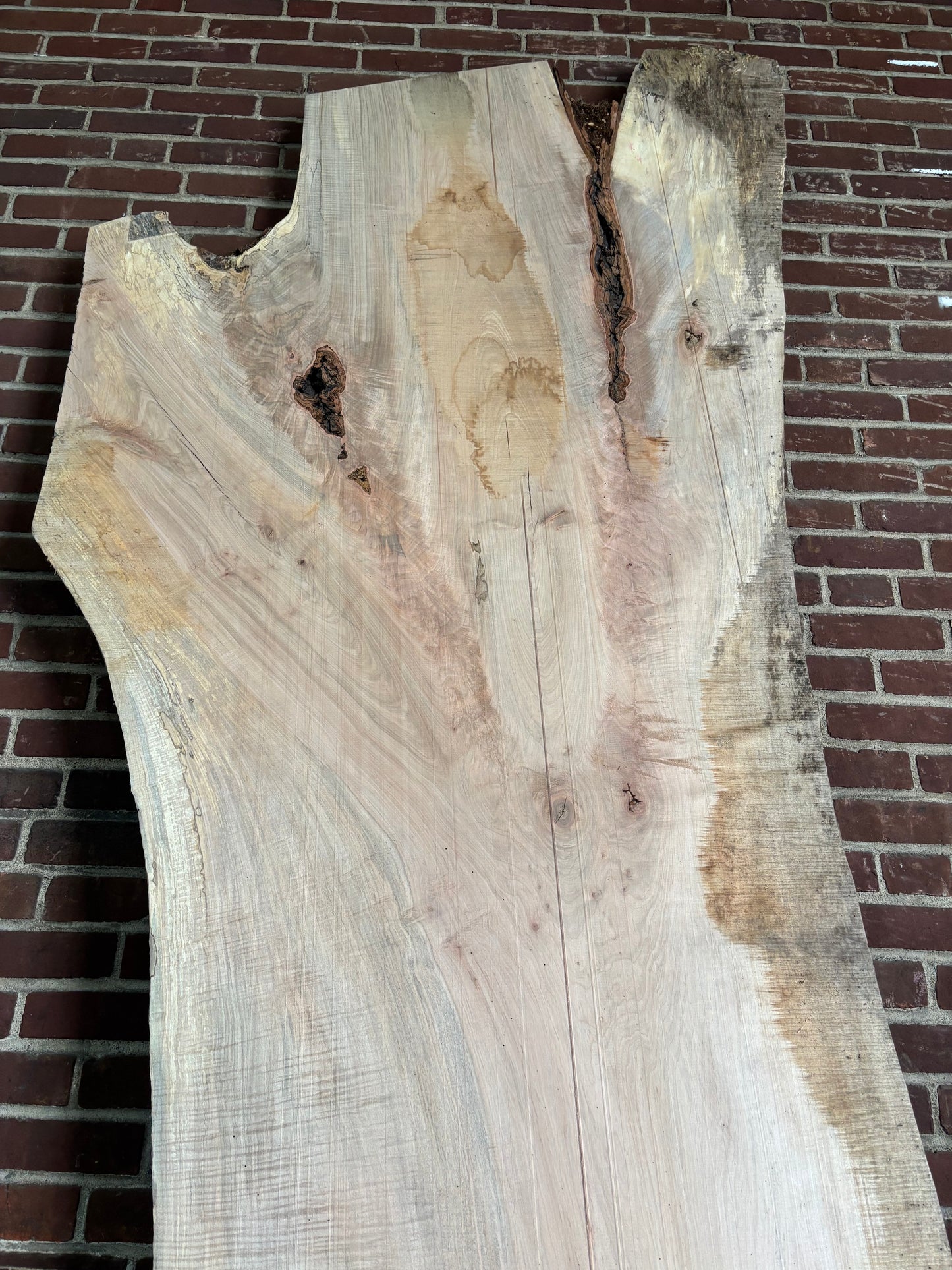 Maple Slab SIVLKT0176
