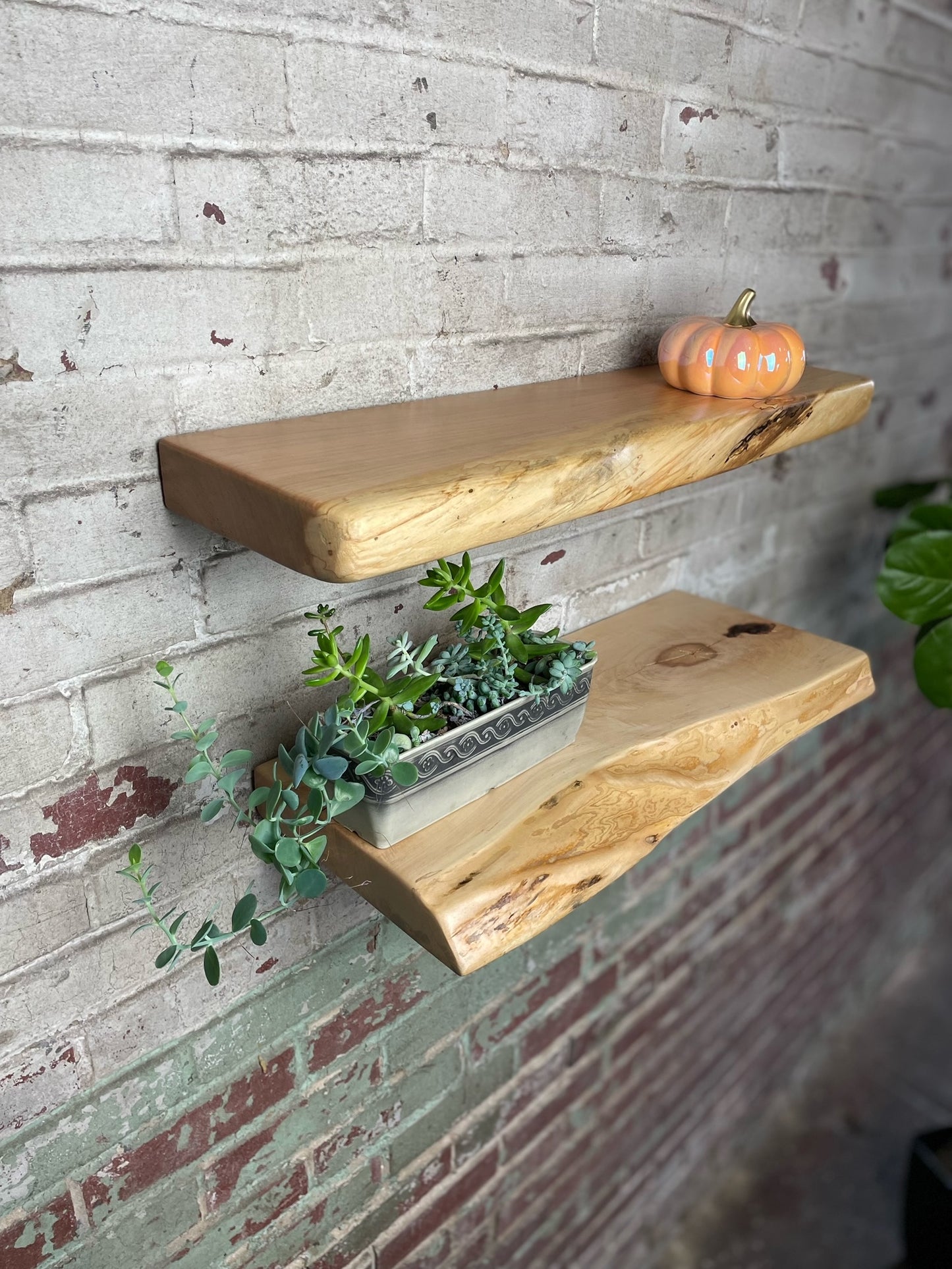 Live Edge Floating Shelves