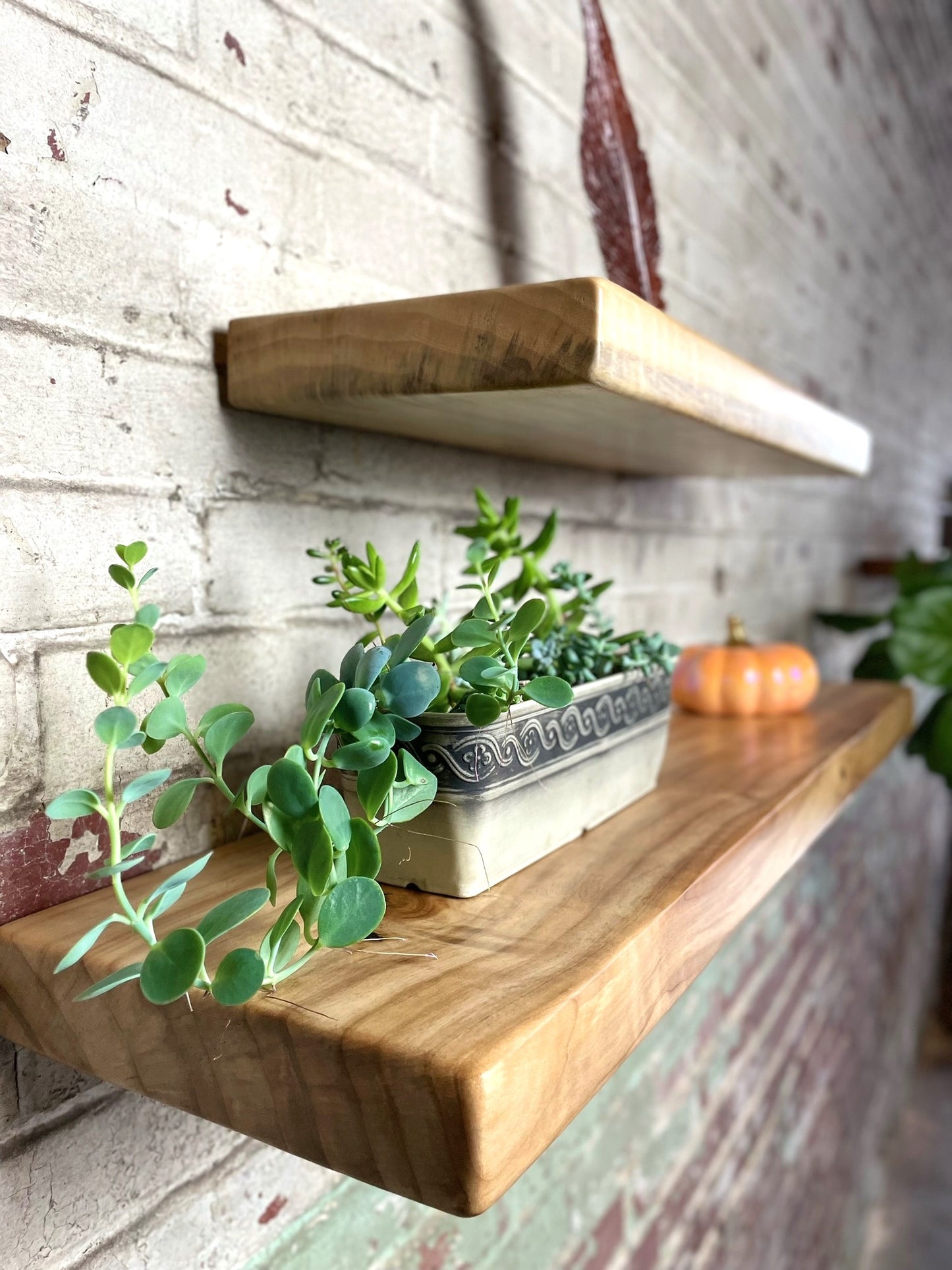 Minimalist Floating Shelves